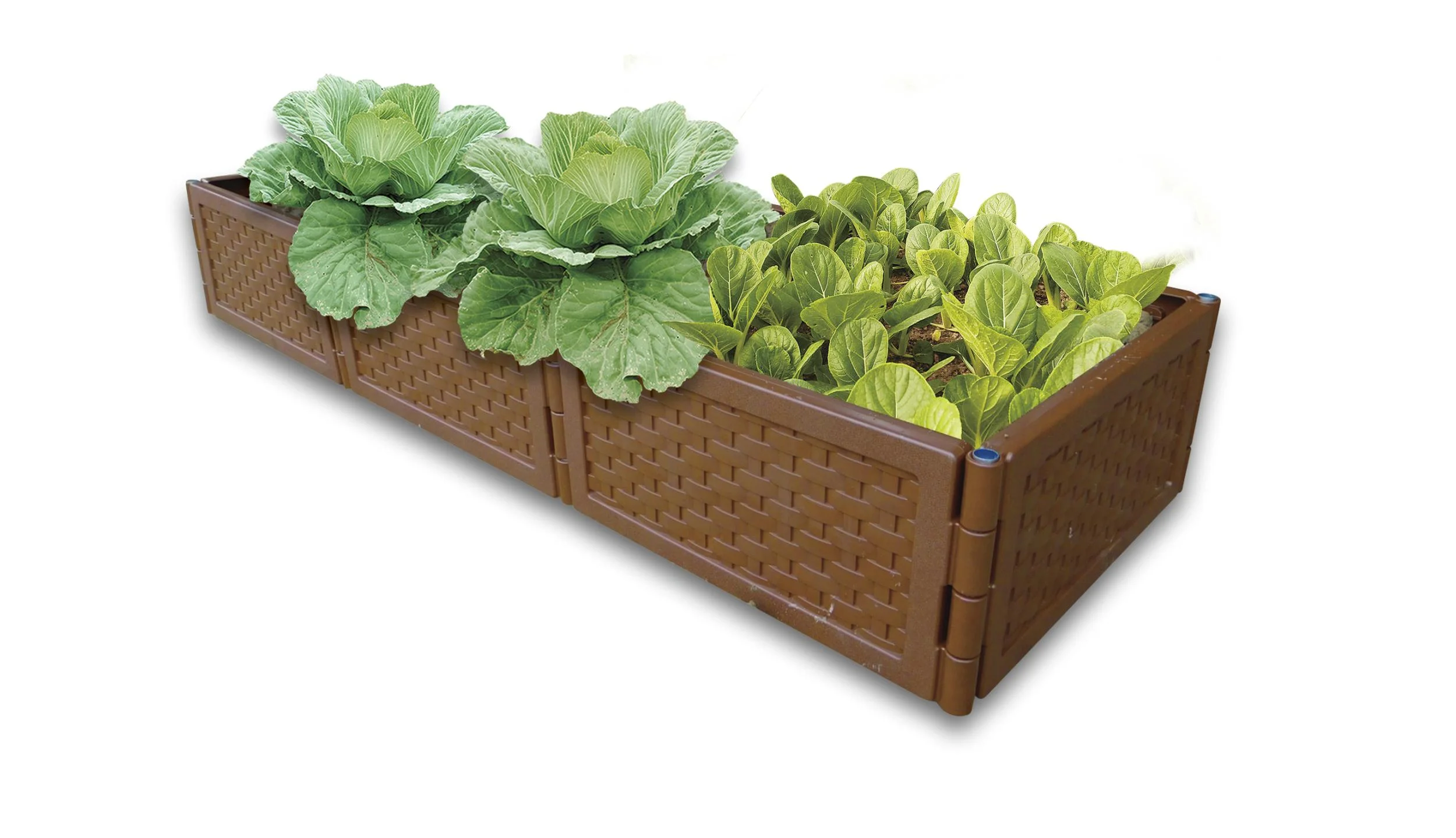 Multifunktions Hochbeet flexibel & erweiterbar 4er Set terracotta - 0