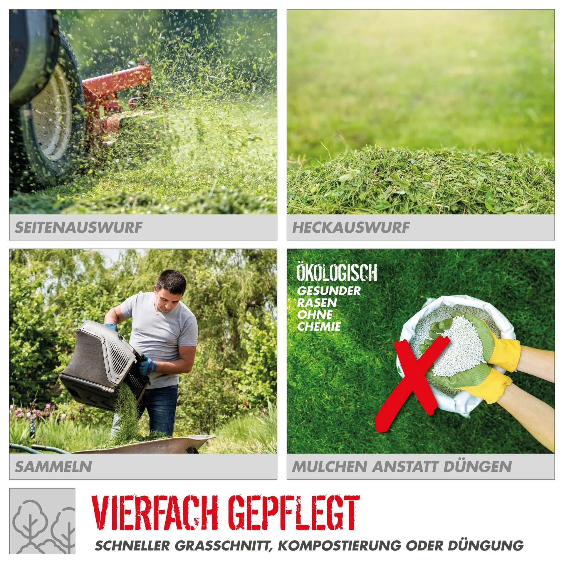 Rasenmäher Big Wheeler 554.1 R LI-ES - 4,8 PS - 55 cm - 9