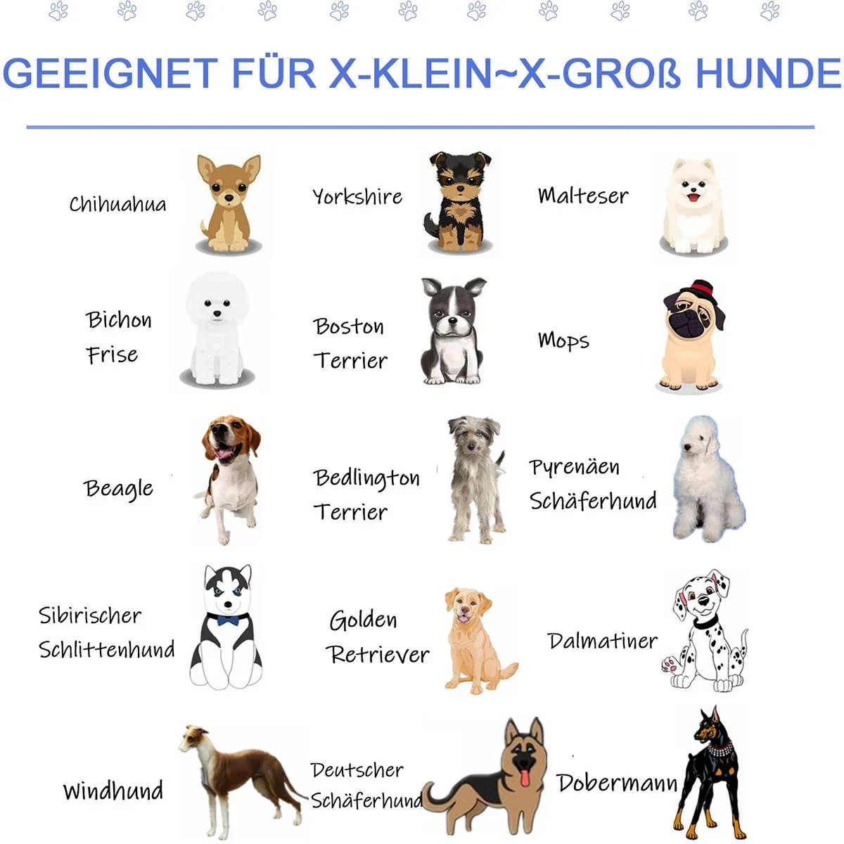 Hundepool mit Wasserablassventil blau - 3