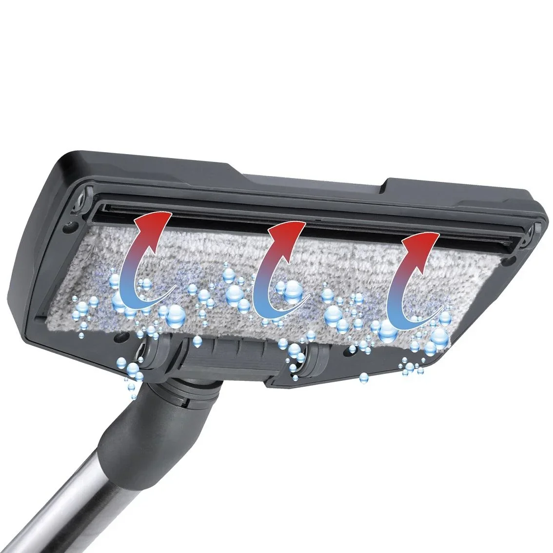 Staub - und Waschsauger Aqua* Allergy + Family - 6