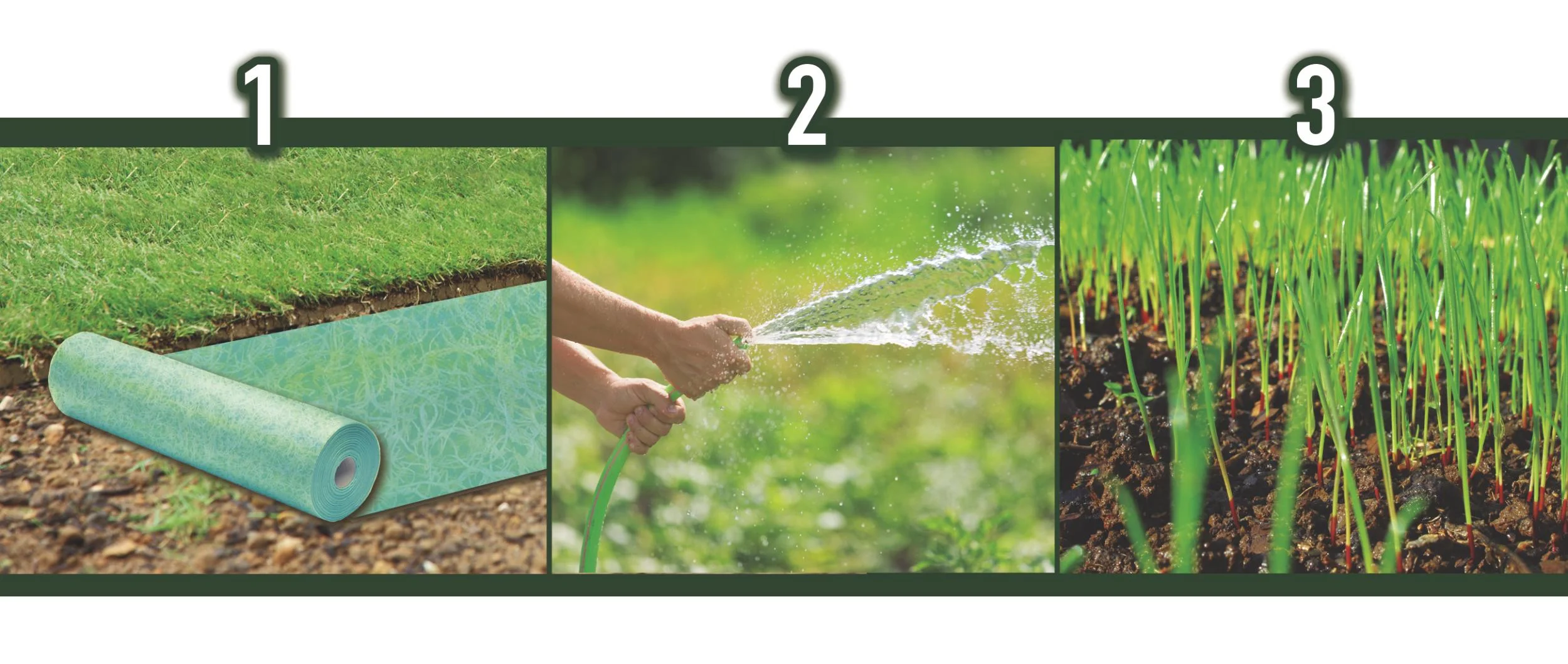 Rasenmatte mit Samen und Dünger, Grass seed Mat - 1