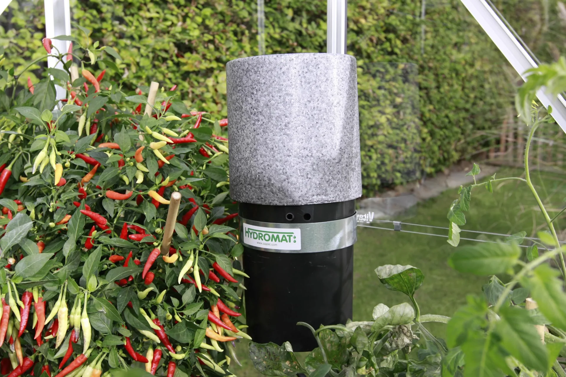 Hydromat mit 2,5 Liter Fassungsvermögen und 50 Tropfstäben - 0