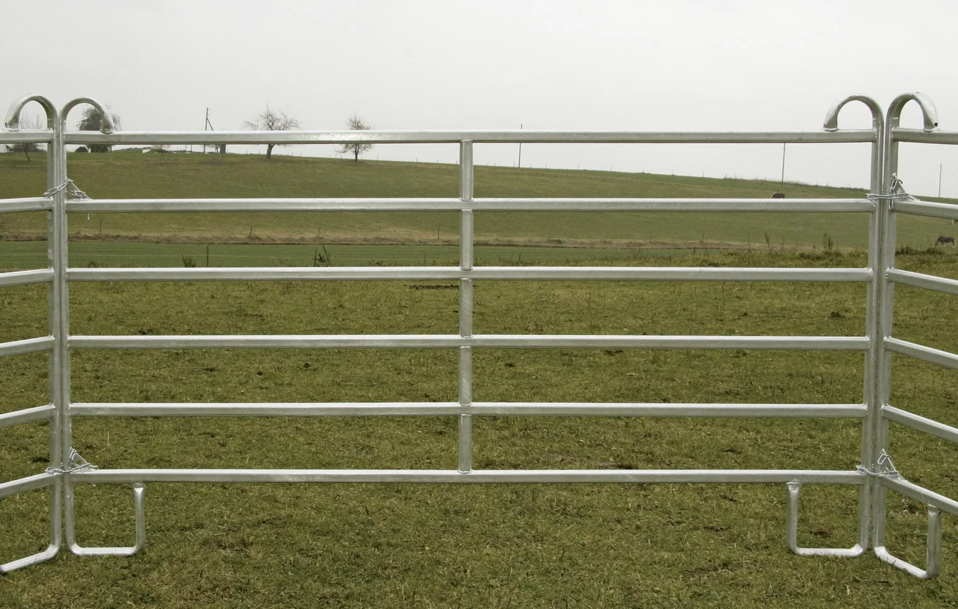 Weidepanel - Zaunelement 2,4 m Länge, 1,7 m Höhe - 3