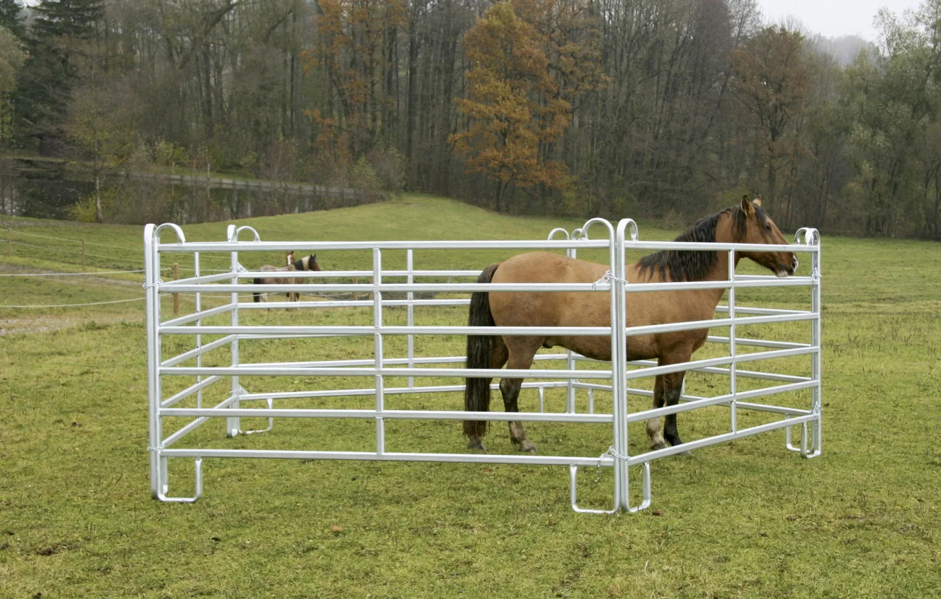 Weidepanel - Zaunelement 2,4 m Länge, 1,7 m Höhe - 5
