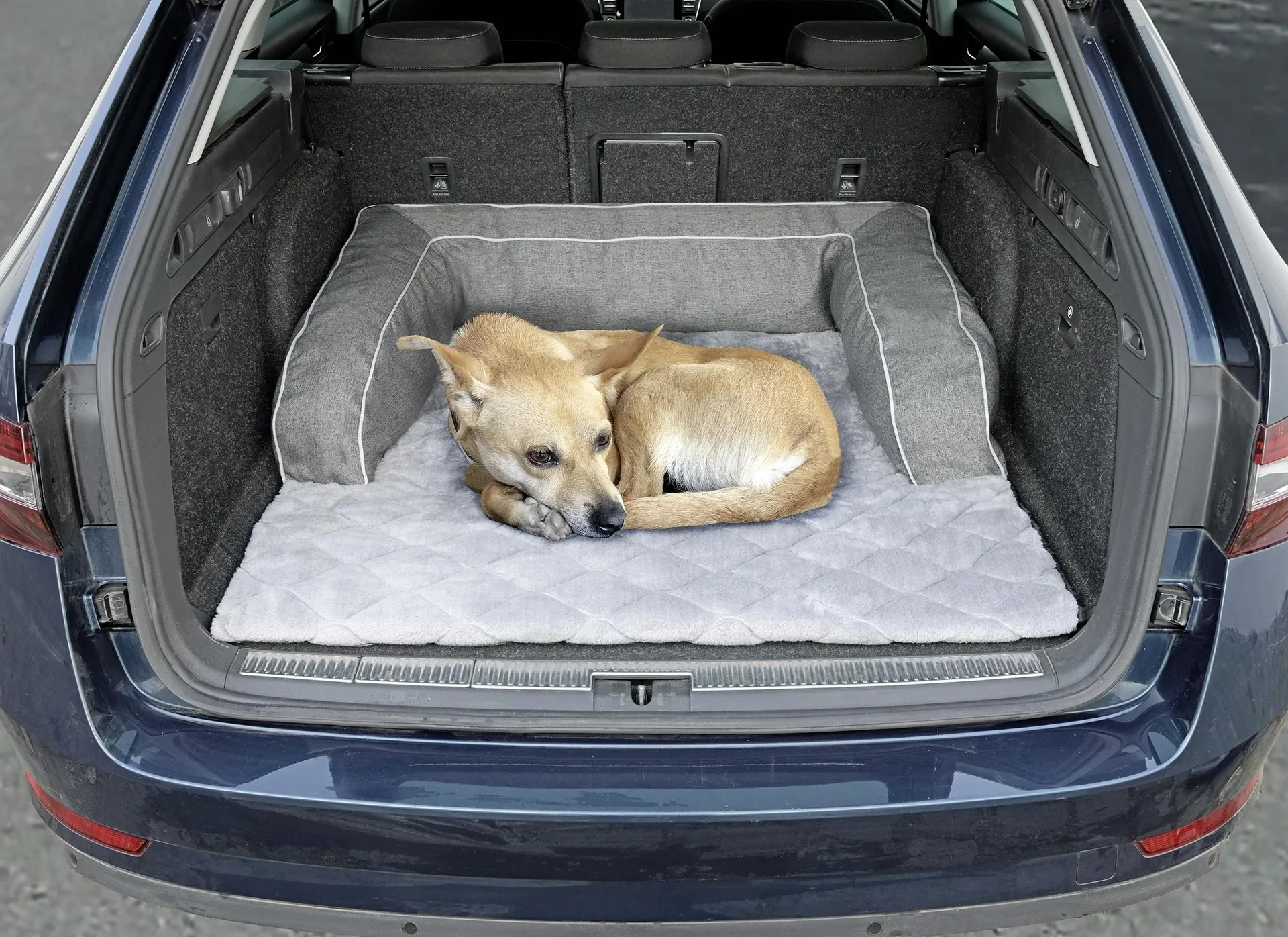 Couch in Couch "Premium", Anthrazit, Größe L, 100 x 130 cm - 4