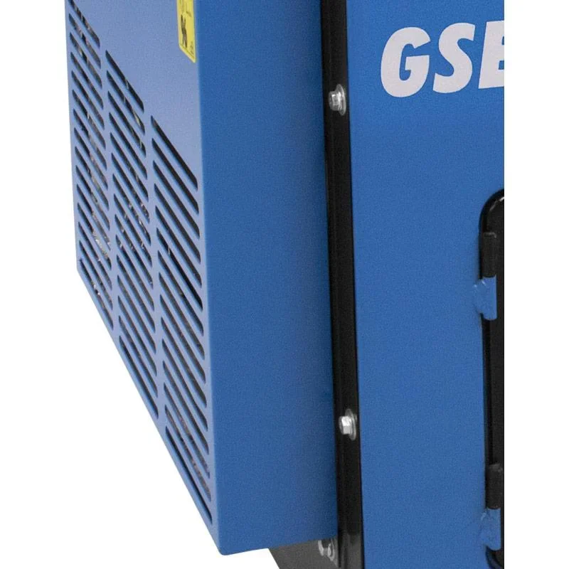 STROMERZEUGER GSE 5501 DSG - 3