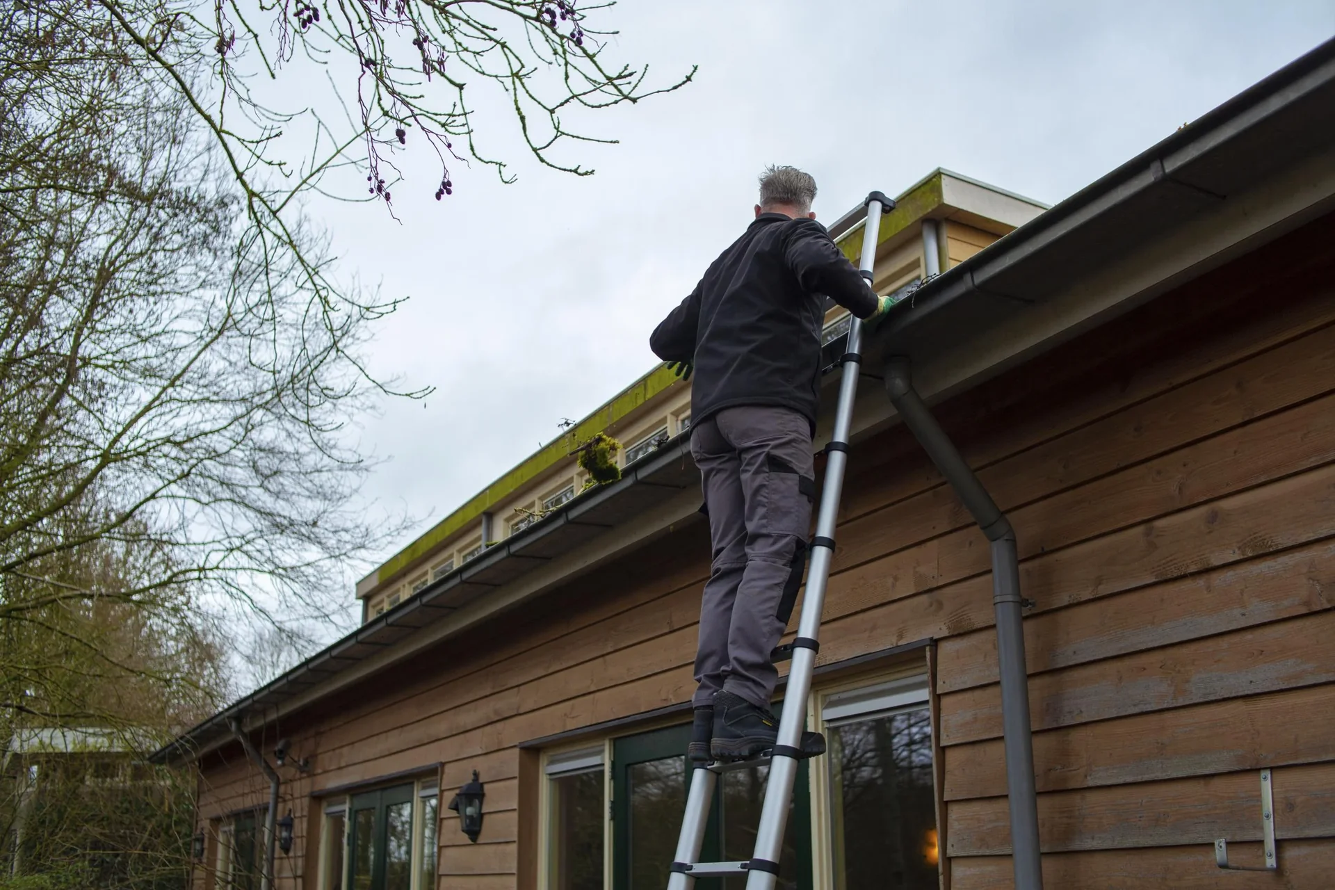 Professional Teleskopleiter 3,81m - 0