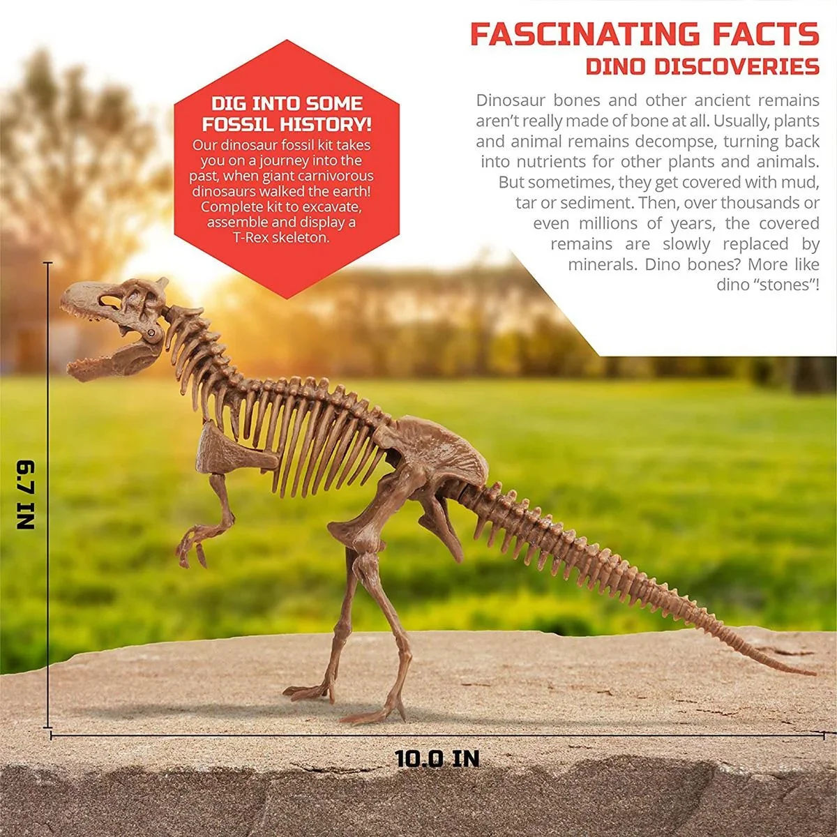 Discovery Mindblow - Dinosaurier graben " " 3D Puzzle - Grabungsset - Archäologie - 4