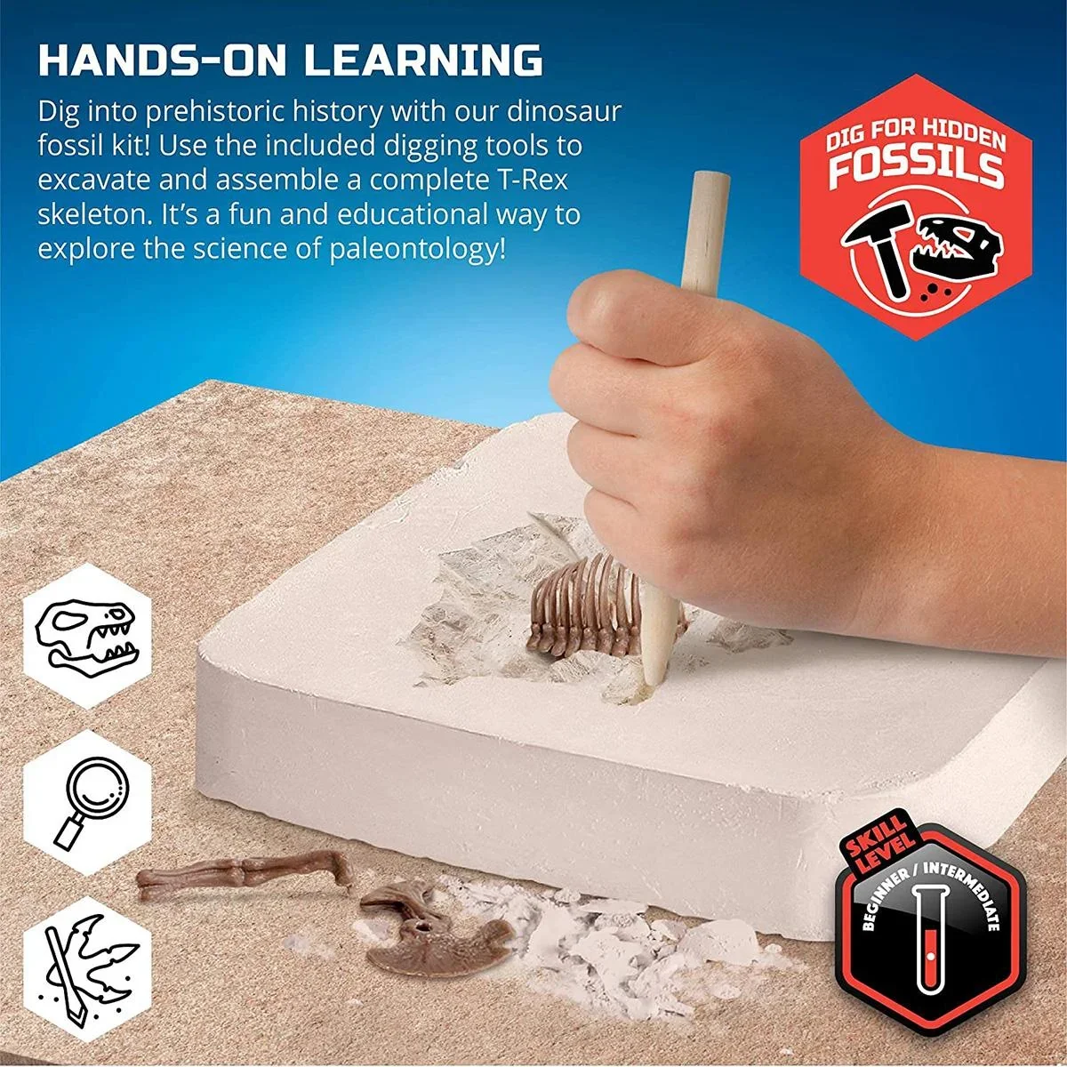 Discovery Mindblow - Dinosaurier graben " " 3D Puzzle - Grabungsset - Archäologie - 6