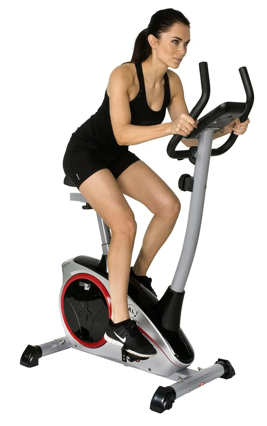 Heimtrainer AL 1 silber - 3