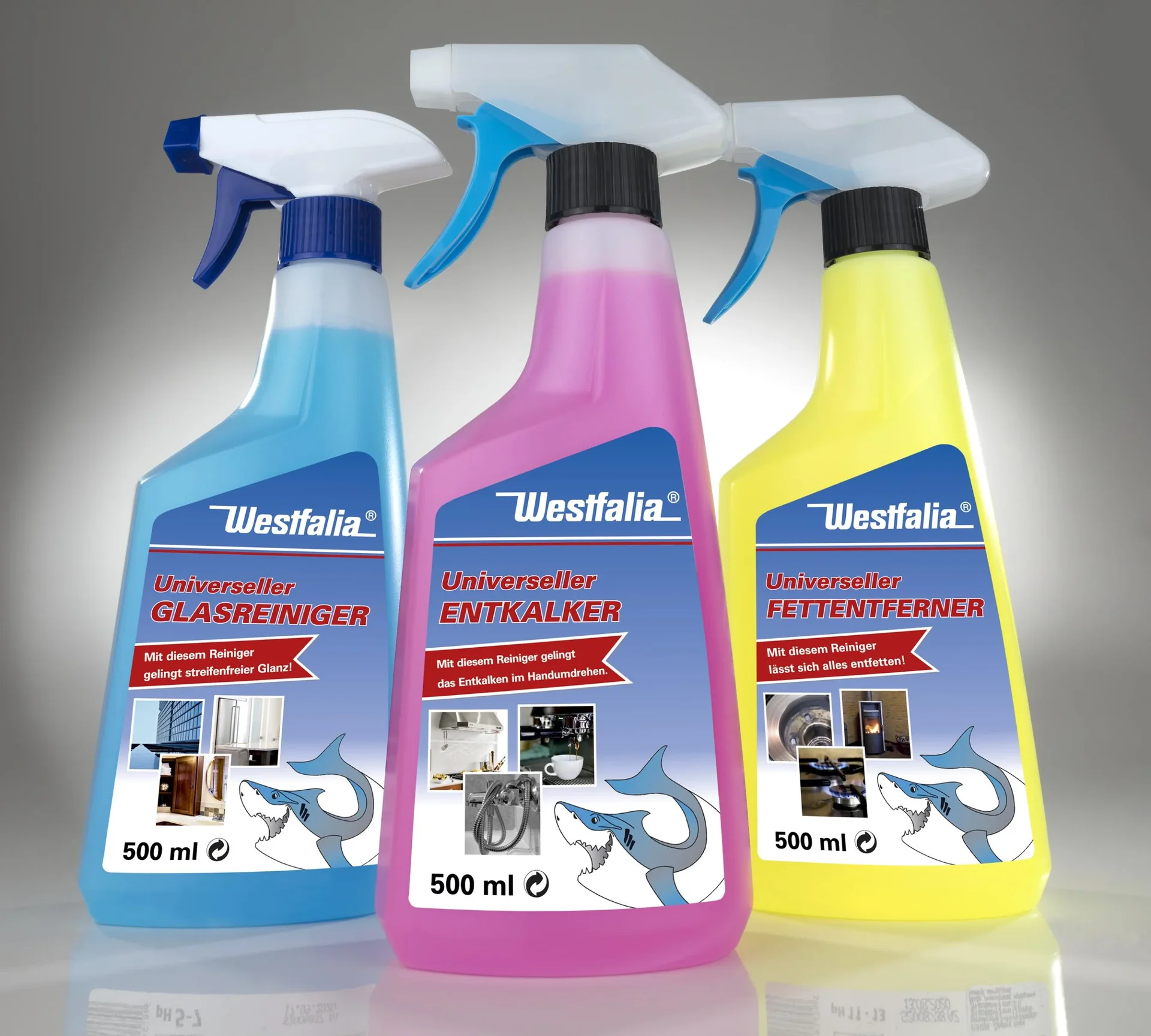 Reiniger Set, 3-teilig - 2