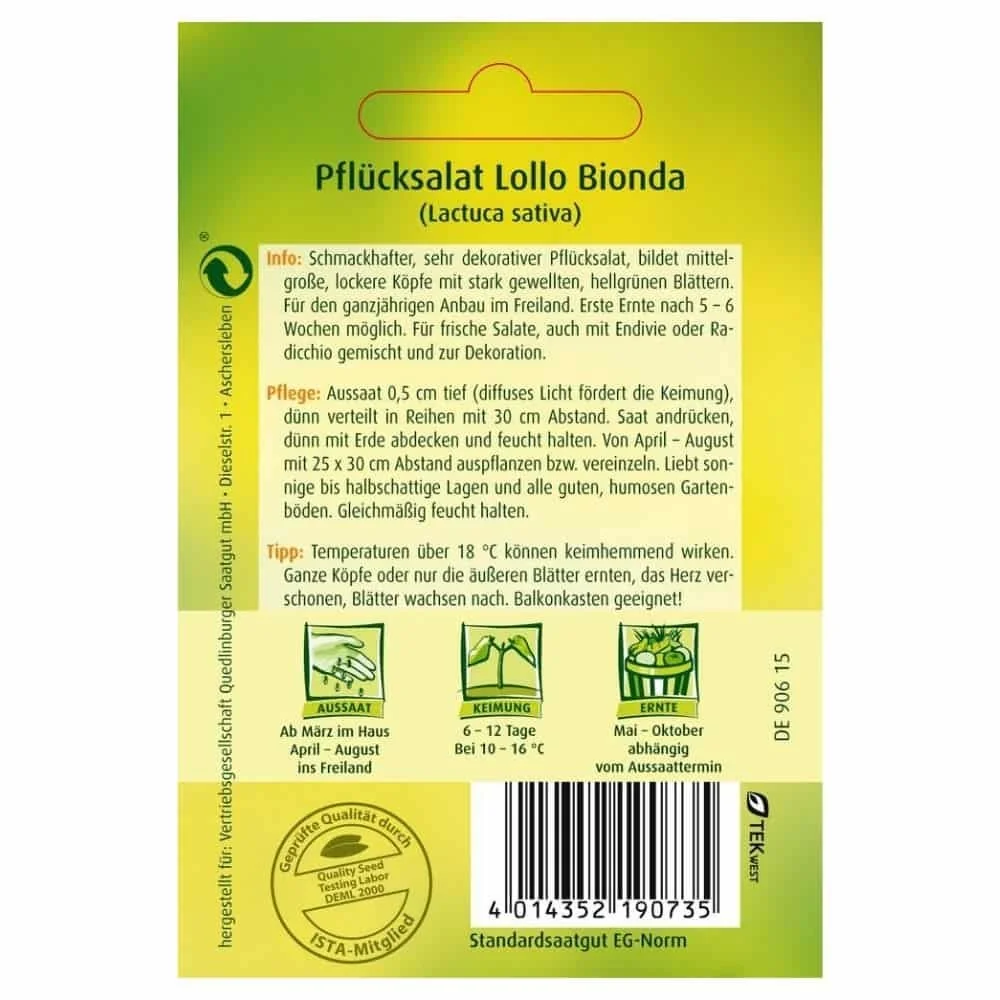 Pflücksalat, Lollo bionda-0