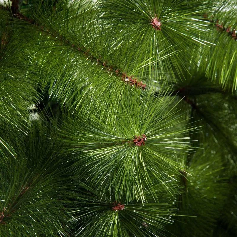 Künstlicher Weihnachtsbaum 2,1 m Christbaum Tannenbaum 505 Äste - 2