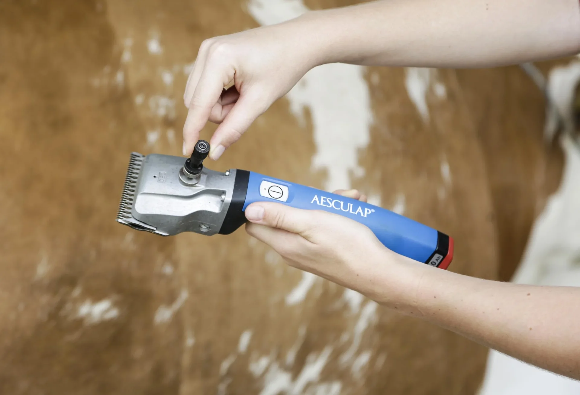 Präzisionsjustierhilfe Torqui, Econom-System - 3