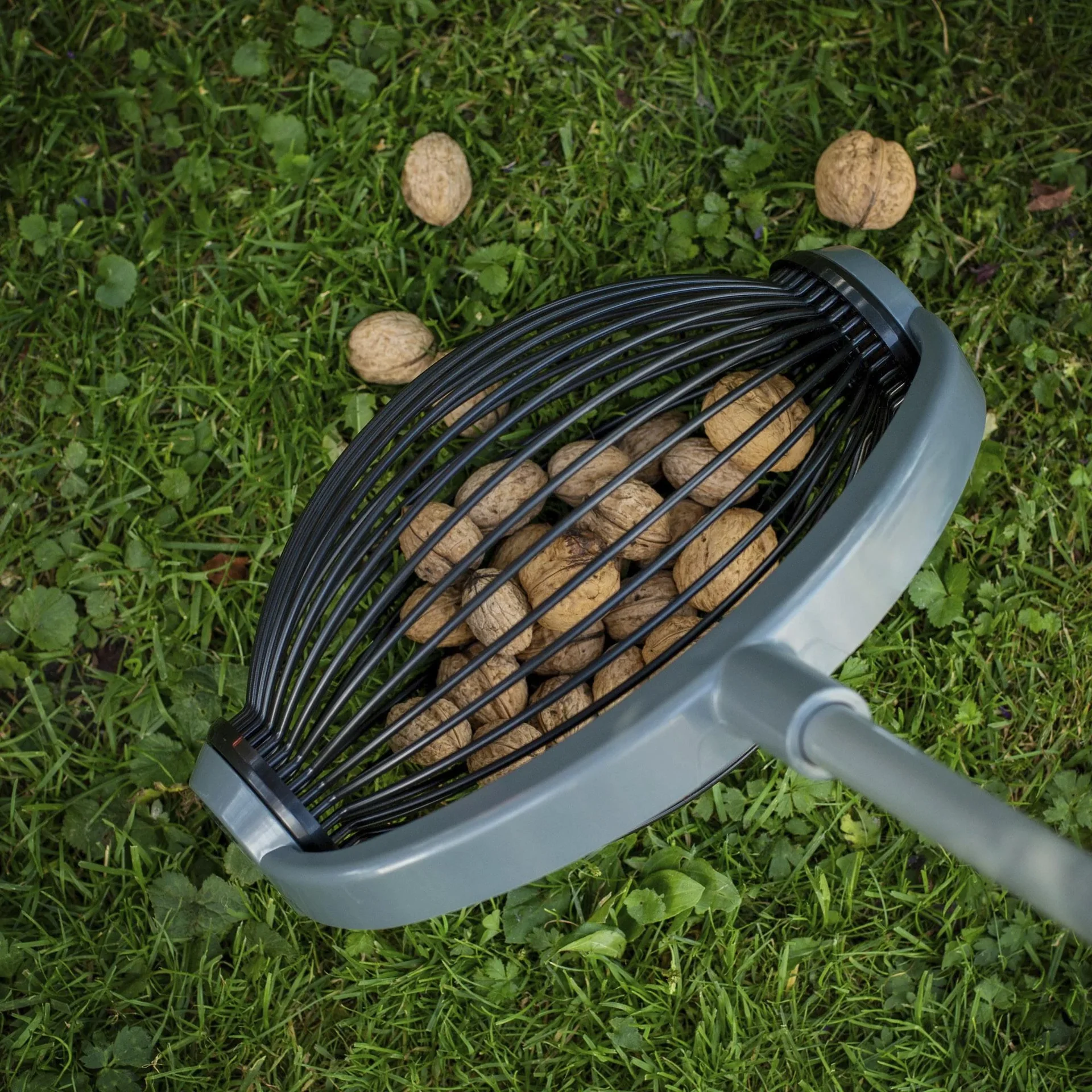 Rollsammler, Obstsammler, klein - 0