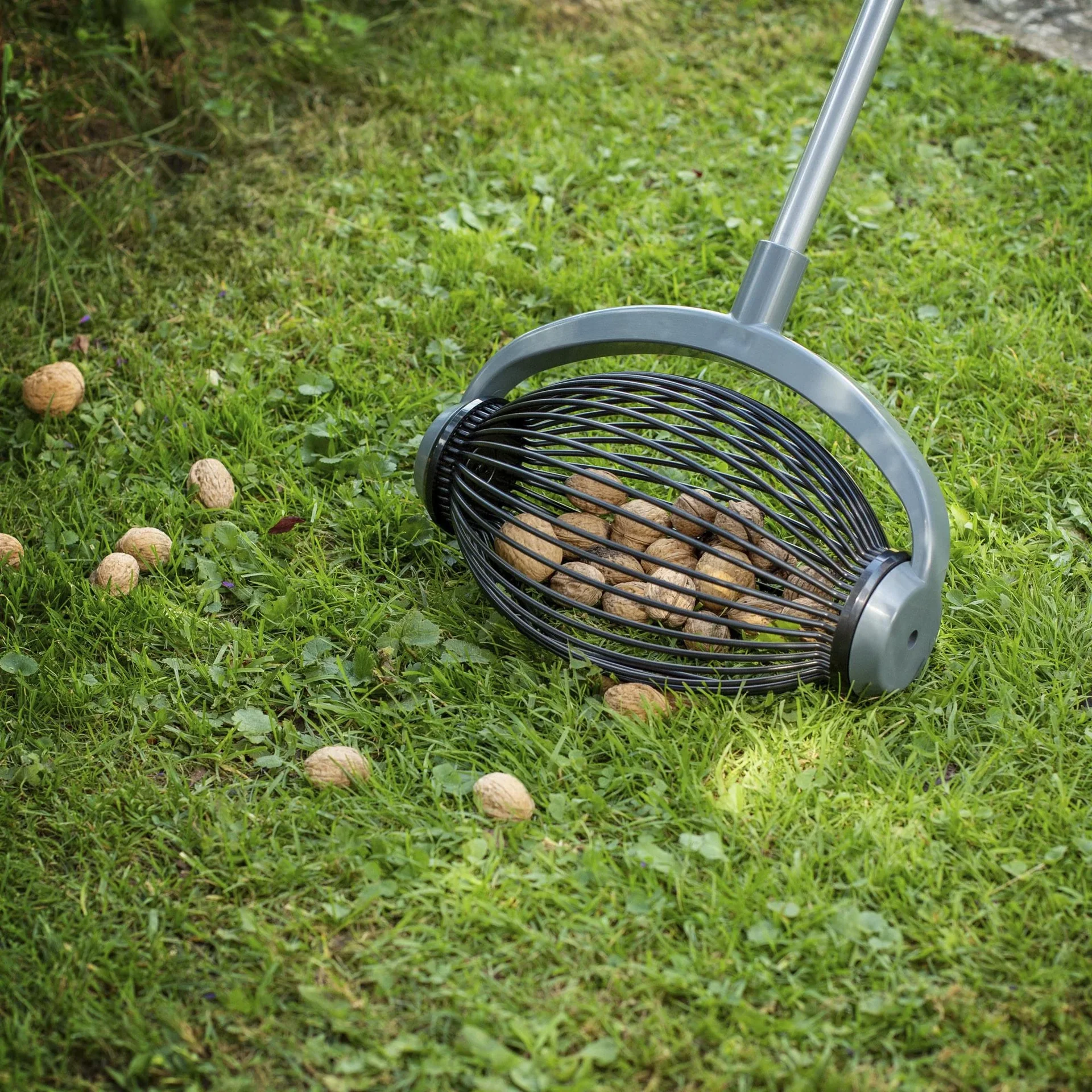 Rollsammler, Obstsammler, klein - 2