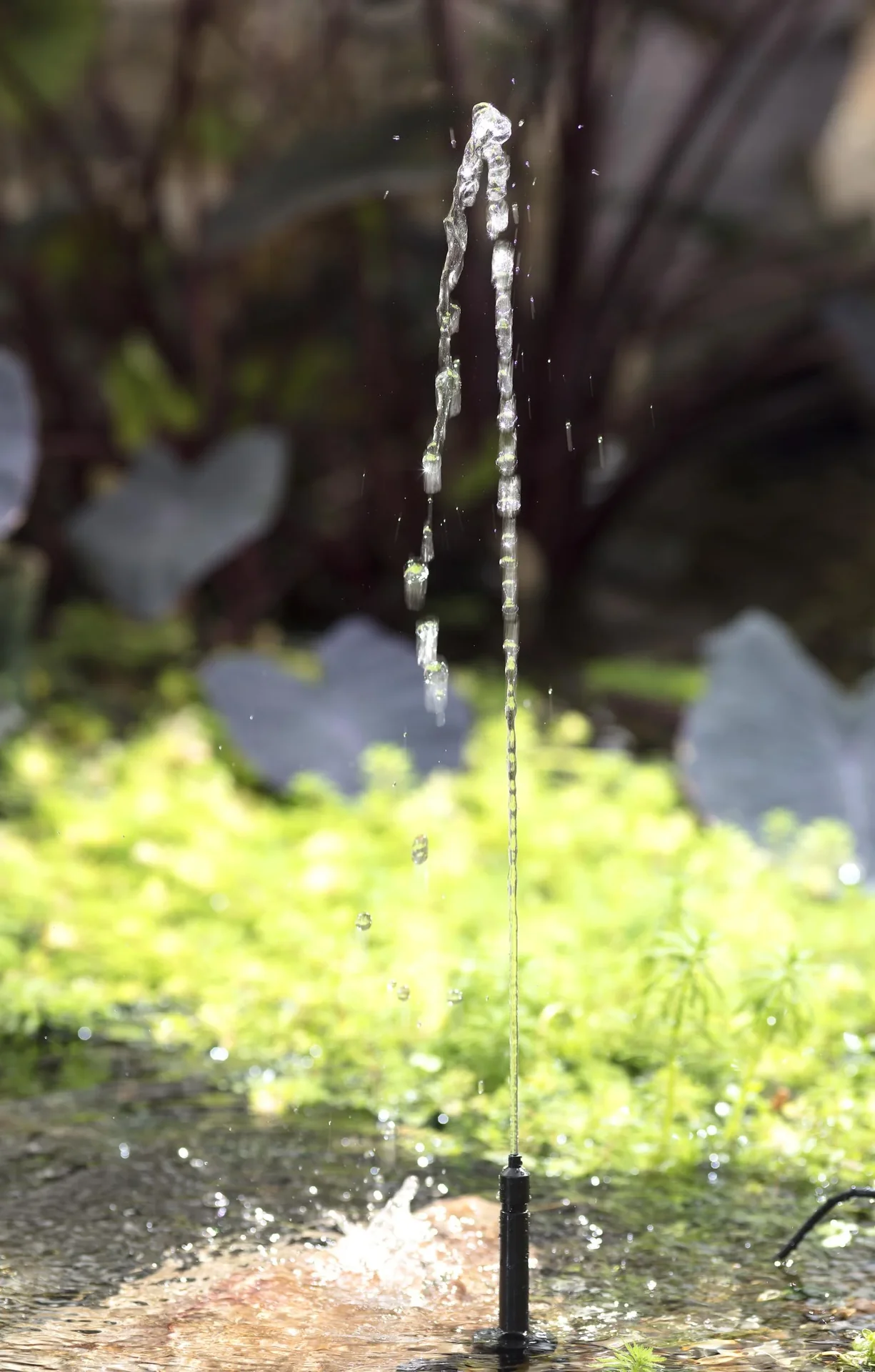 200 l/h Solarpumpe mit Akku ohne Licht - 1