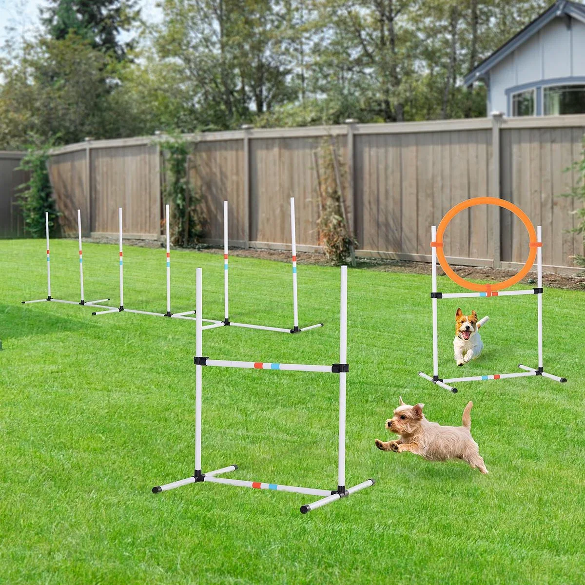 3-tlg. Hunde Agility Set Training für Haustiere Hundetrainigsset Inklusive Tasche Leicht zu tragen Kunststoff Weiß+Gelb - 1