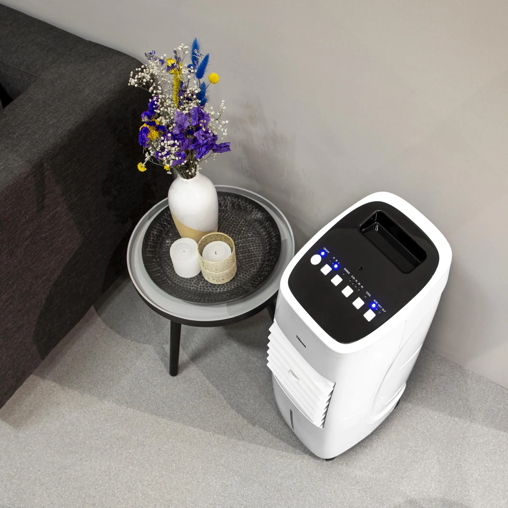 Luftkühler mit Timerfunktion, 60 Watt - 9