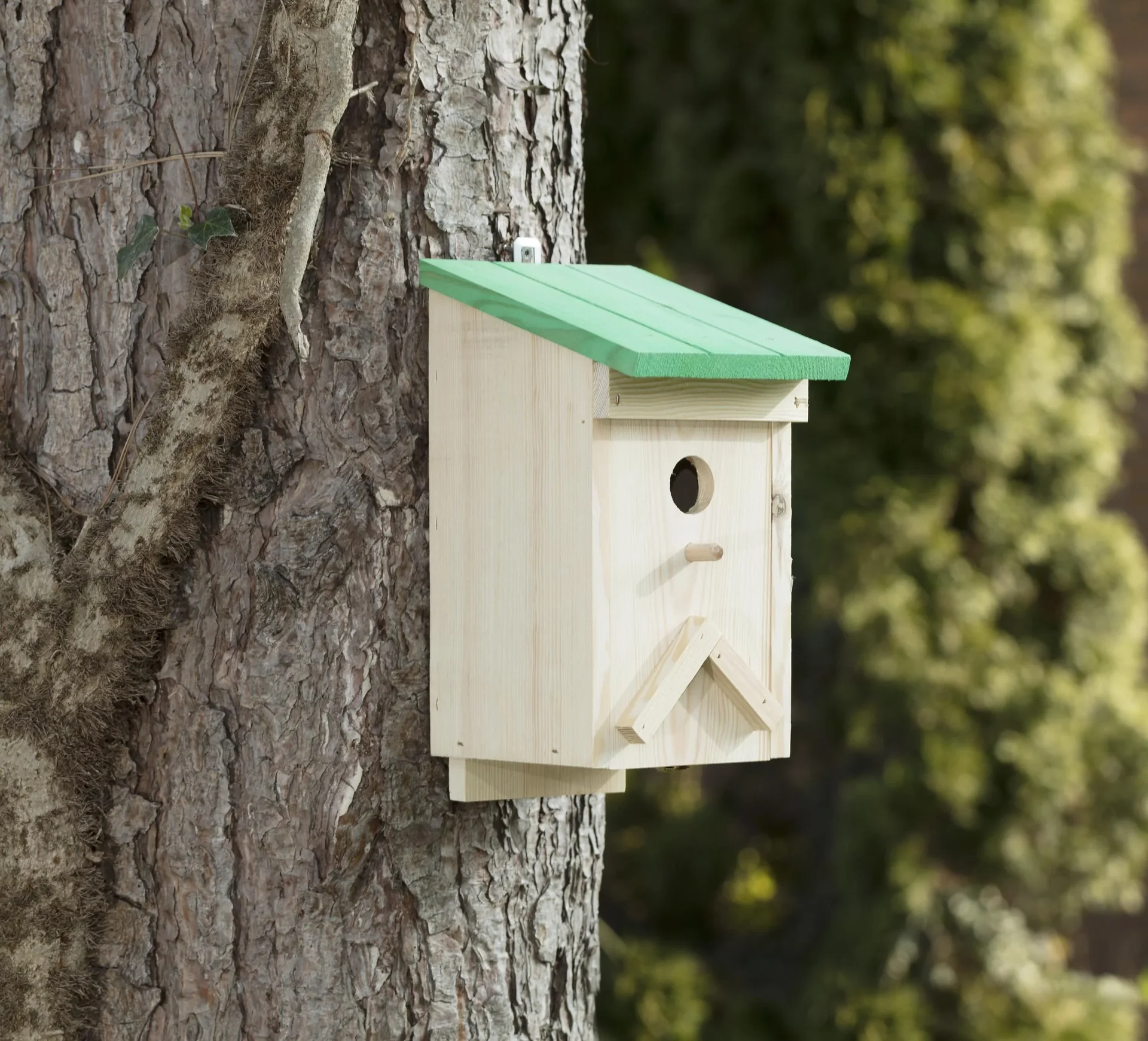 Nistkasten für Meisen "Eifel" - 1