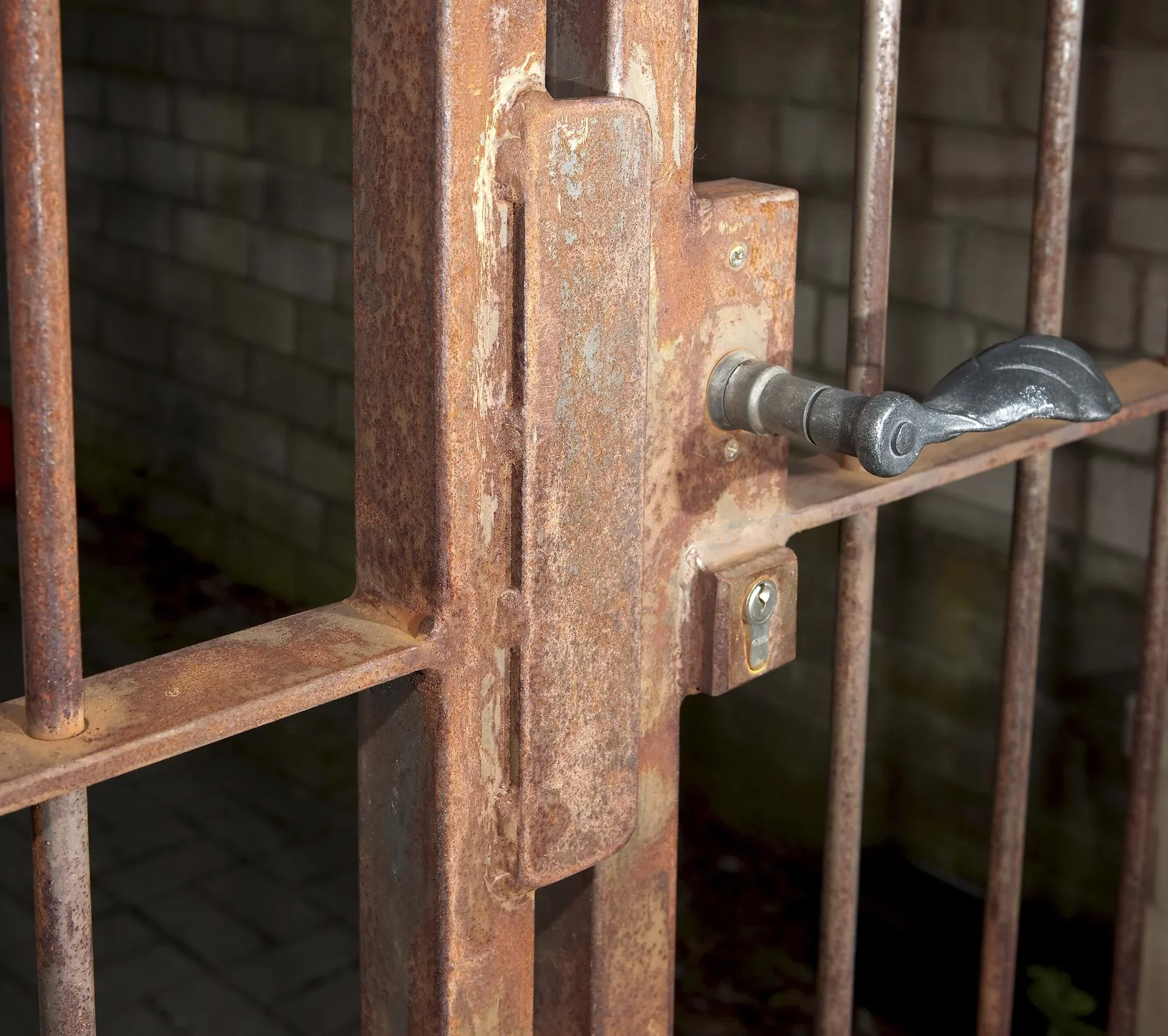 Elektro Feile 260W + Gratis dazu 10 Schleifbänder - 9