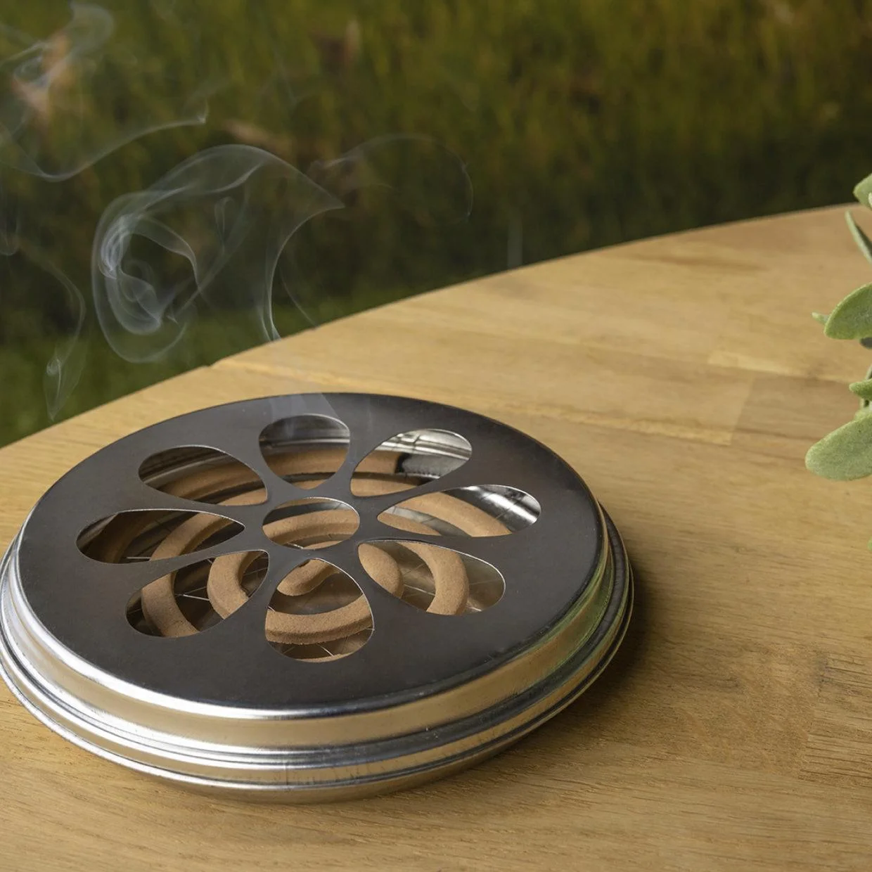 Citronella Spiralen in Zink Brenner - 0