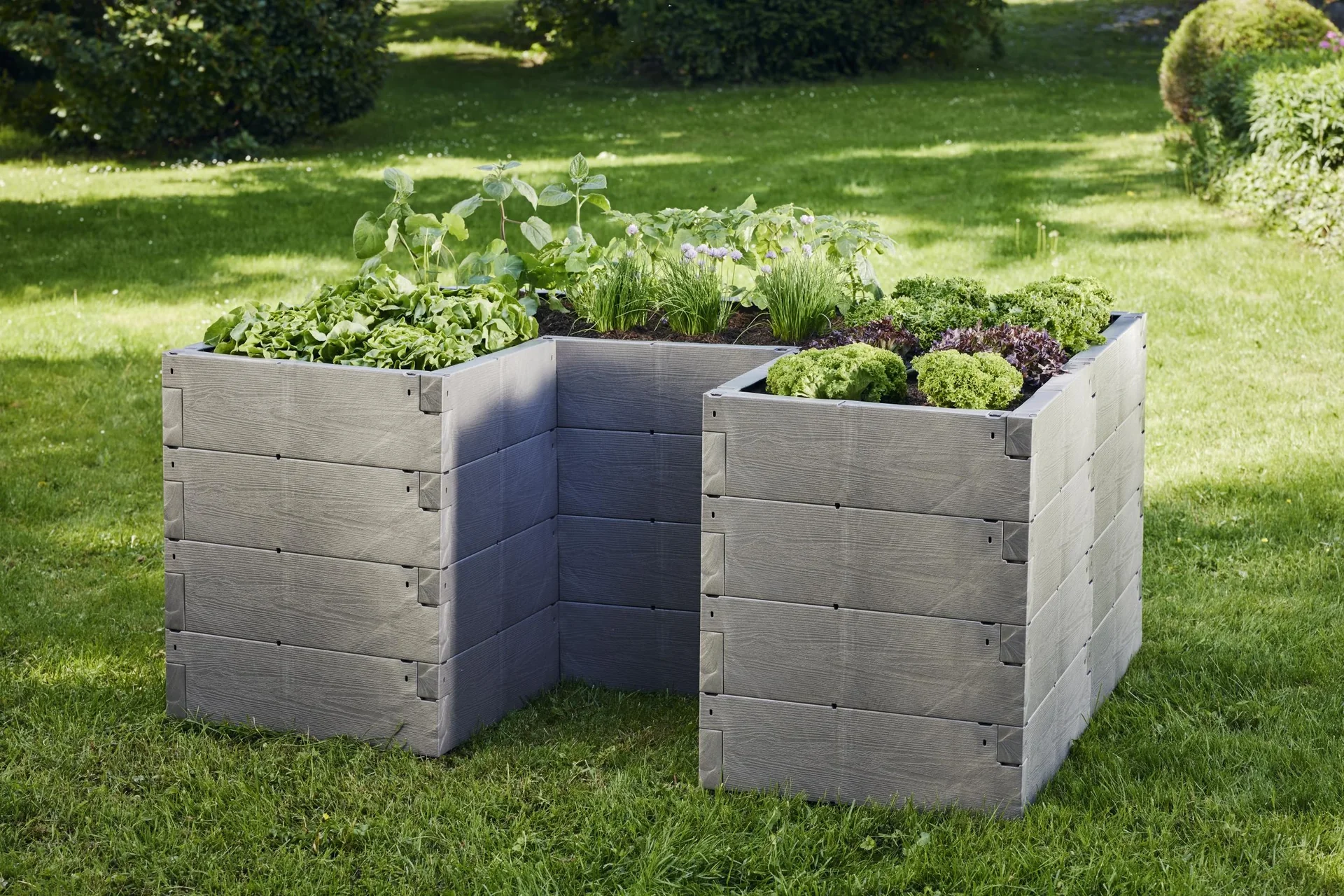 Hochbeet "Timber" Ergoline - 0