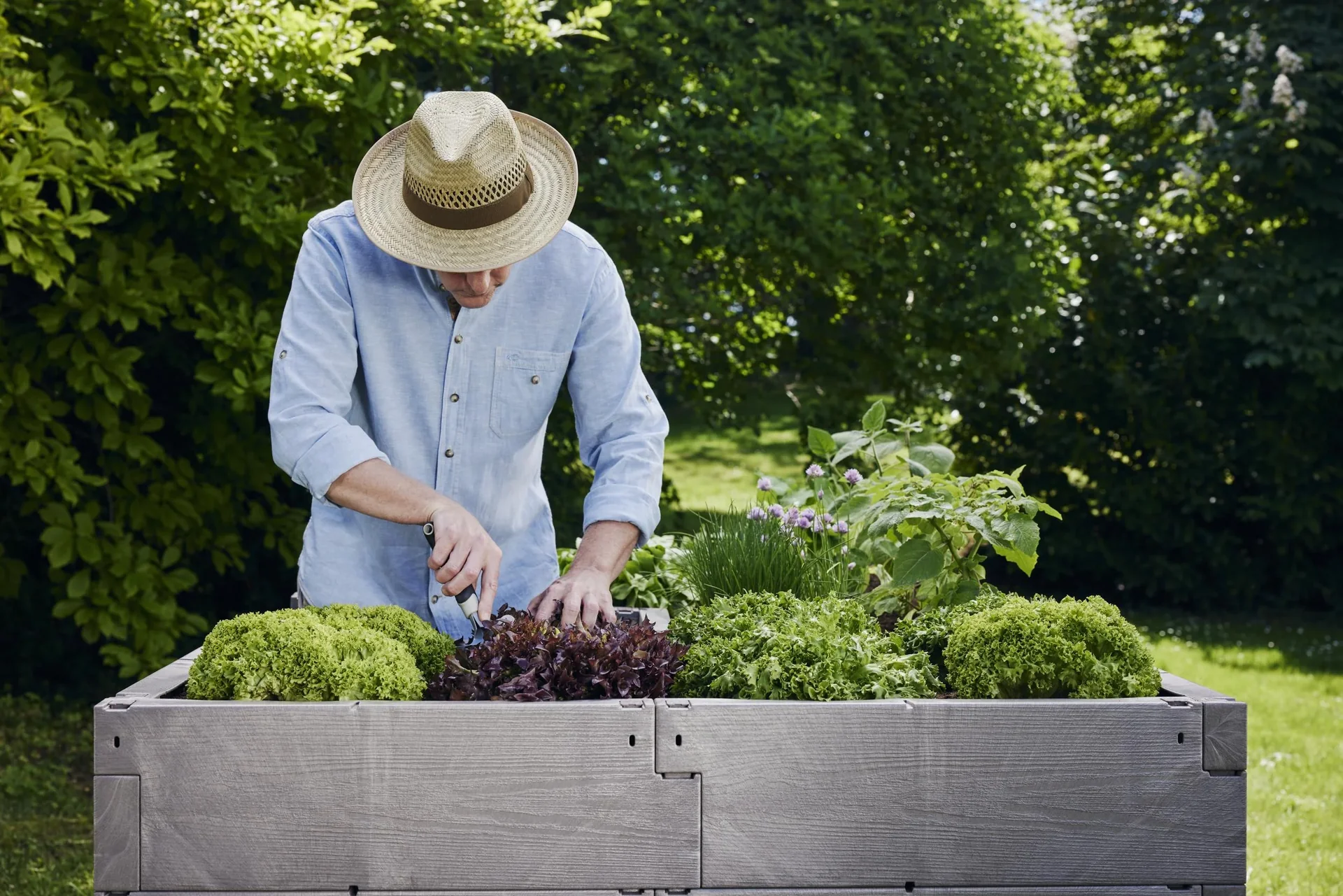 Hochbeet "Timber" Ergoline - 1