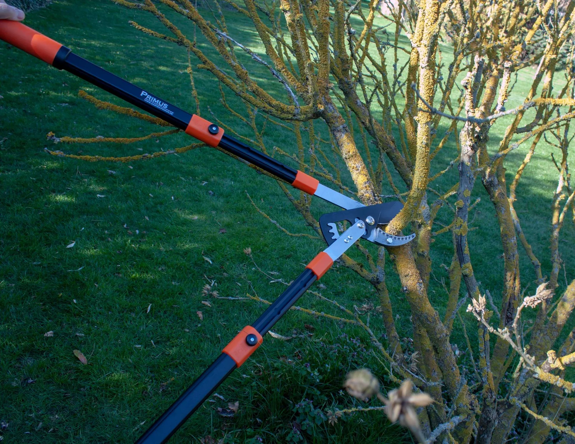 Power Getriebe-Astschere - 1