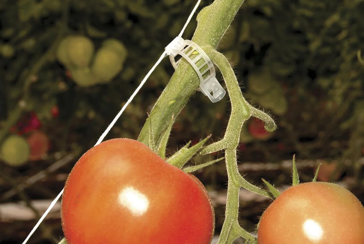Tomatenrank-Kit für Kunststoff Gewächshäuser - 2