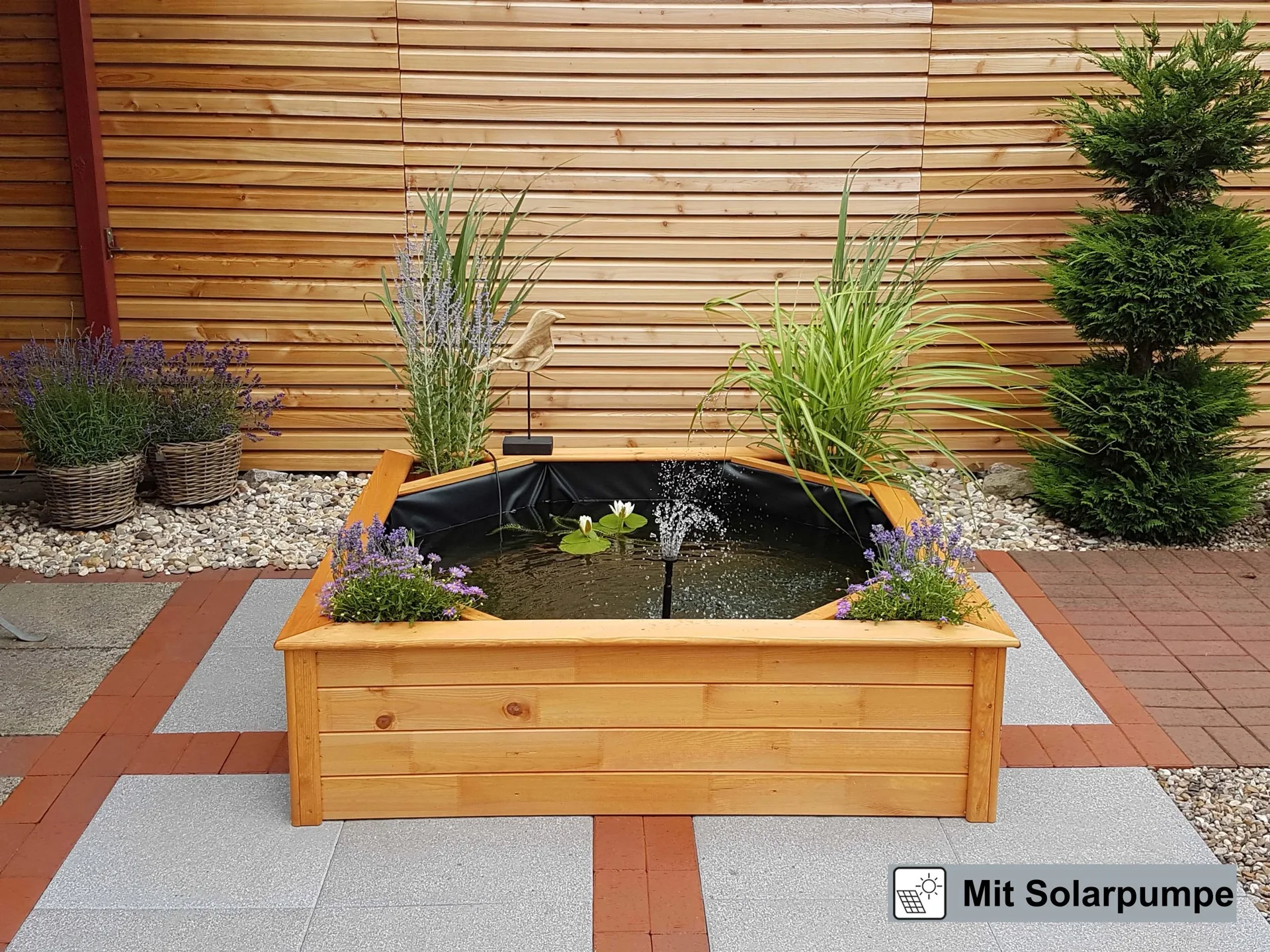 Hochteich mit 4 seitlichen Pflanzzonen Solar - 1