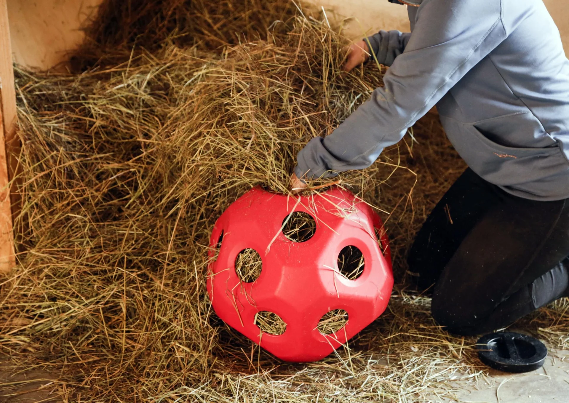 Futterspielball HeuBoy, rot - 1