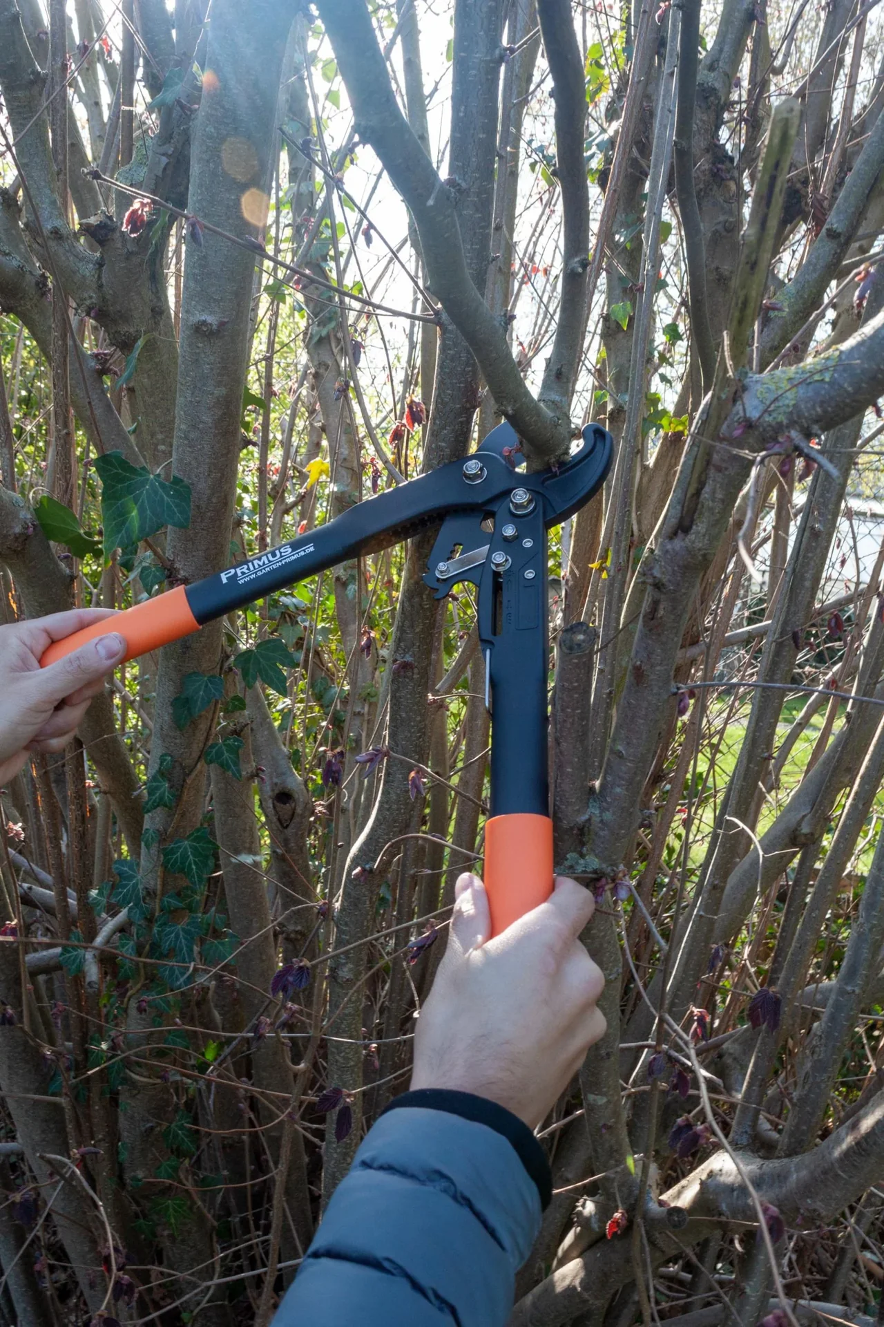 Dual Cut Damen-Astschere - 2