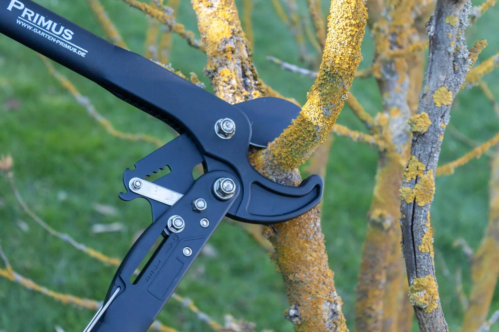 Dual Cut Damen-Astschere - 3