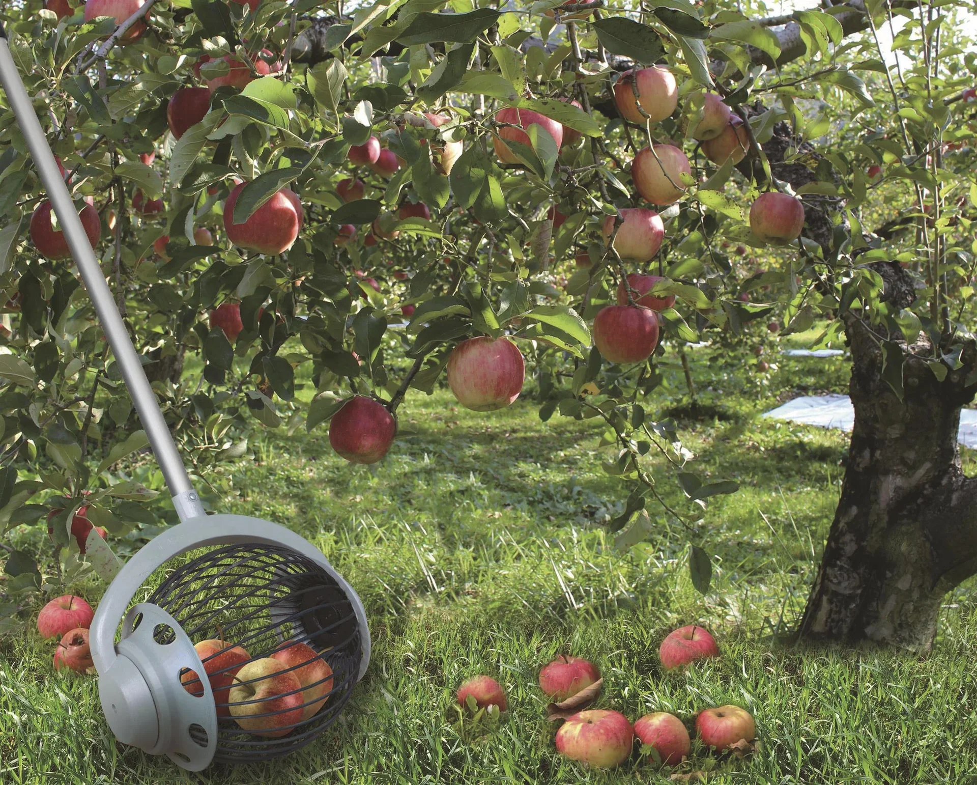 Teleskopgriff Aluminium 110 cm - 1