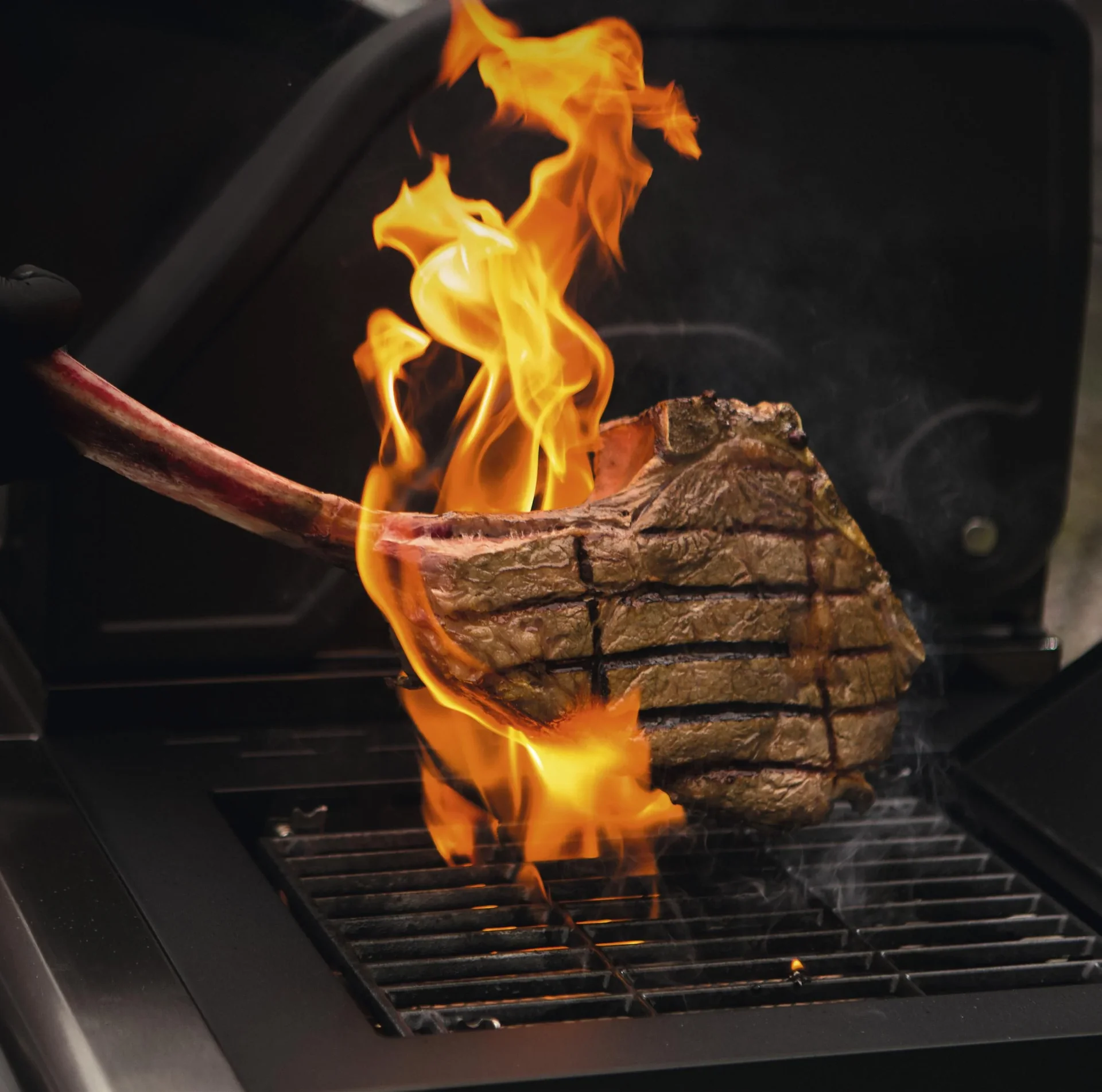 Gasgrillwagen 5.1 - 2
