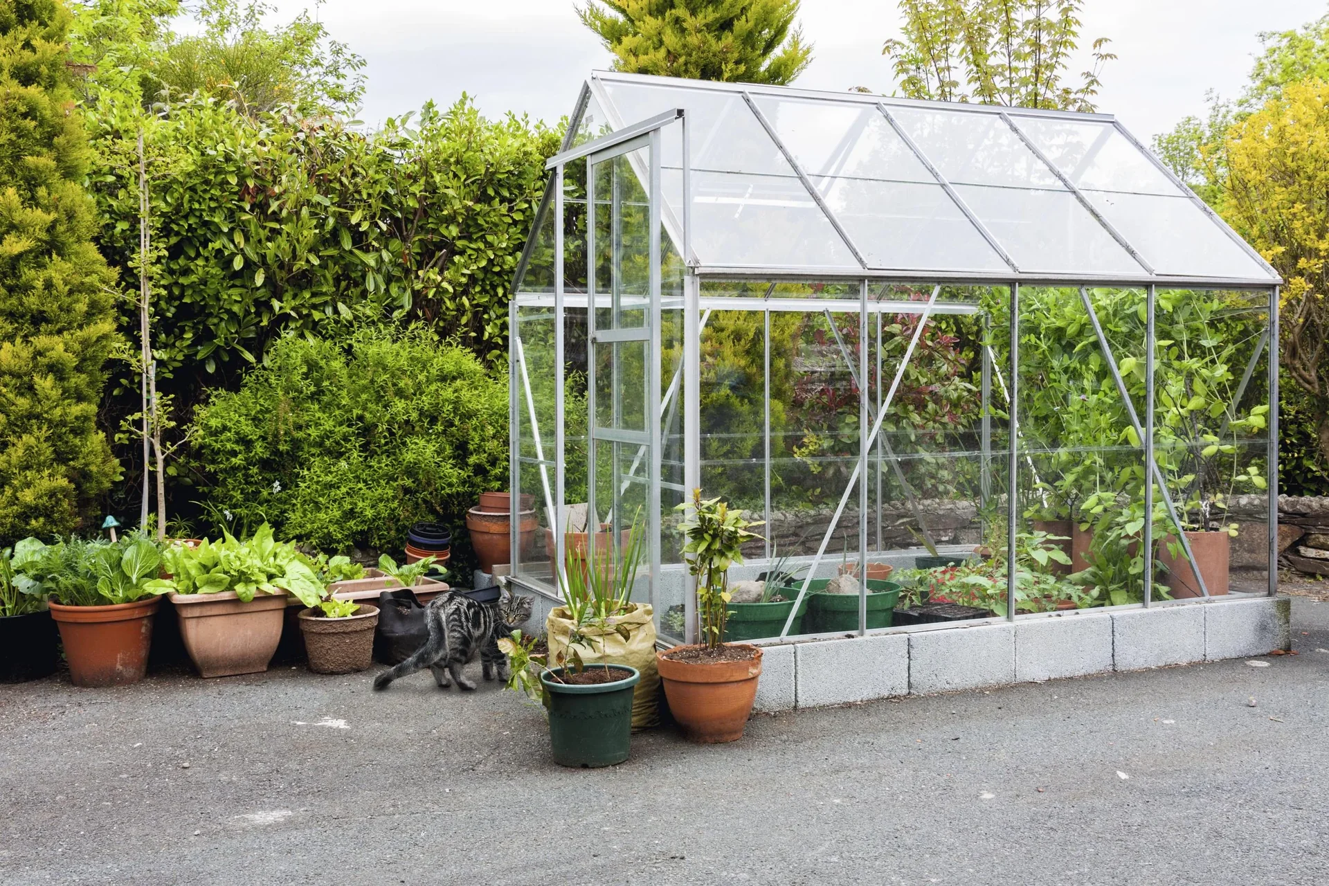 Solar Hunde- und Katzenabwehr - 2