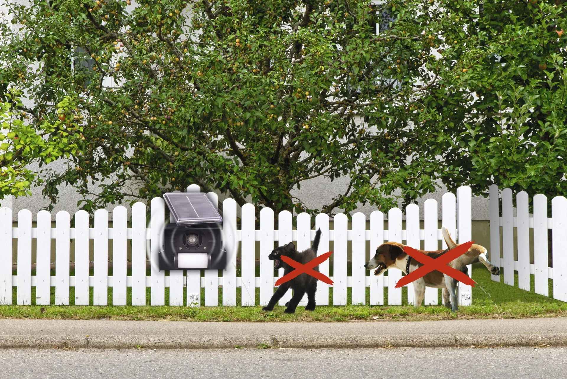 Solar Hunde- und Katzenabwehr - 5