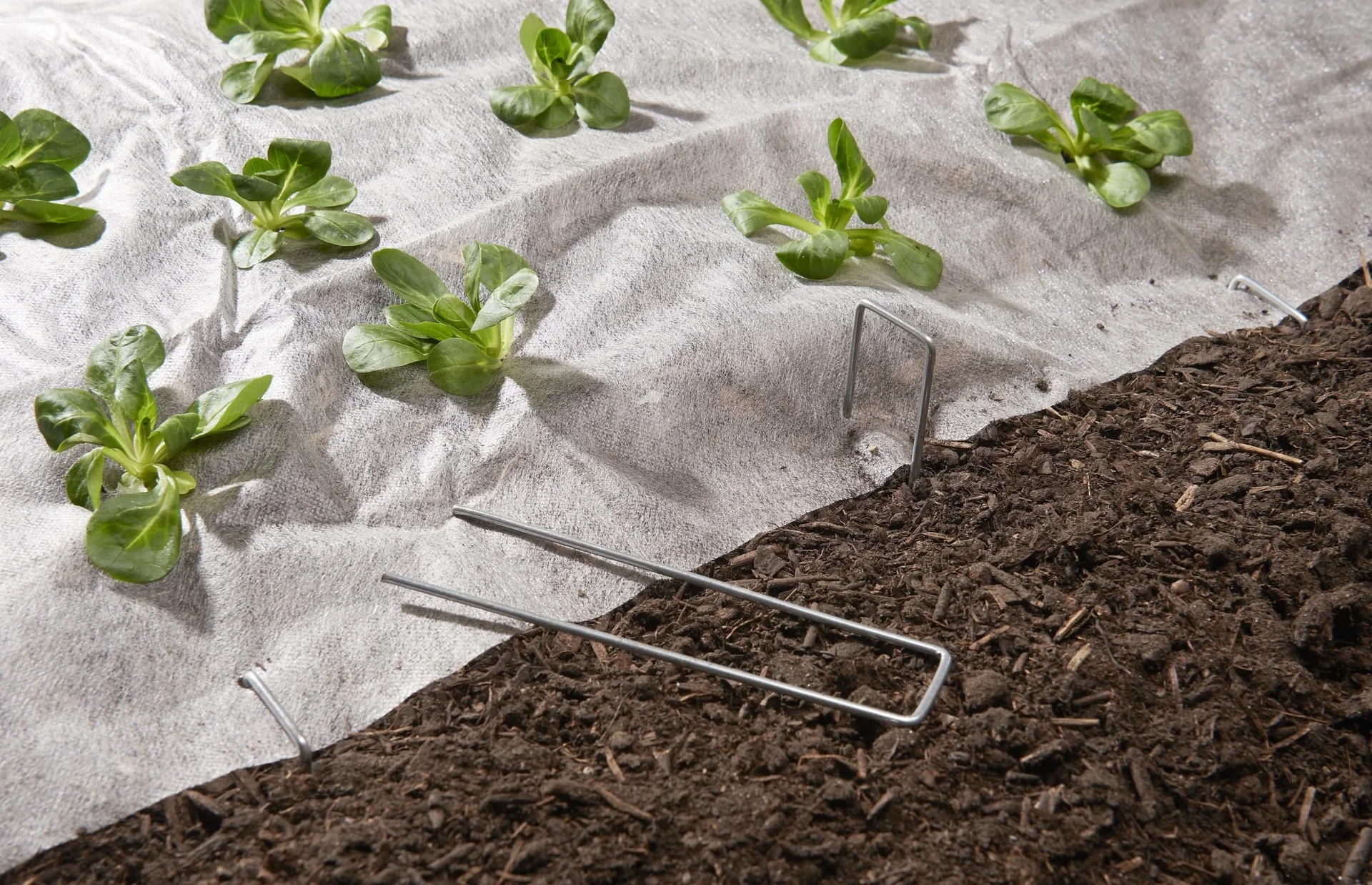 Multi-Erdanker, U-Metall, verzinkt, 50 Stück - 1