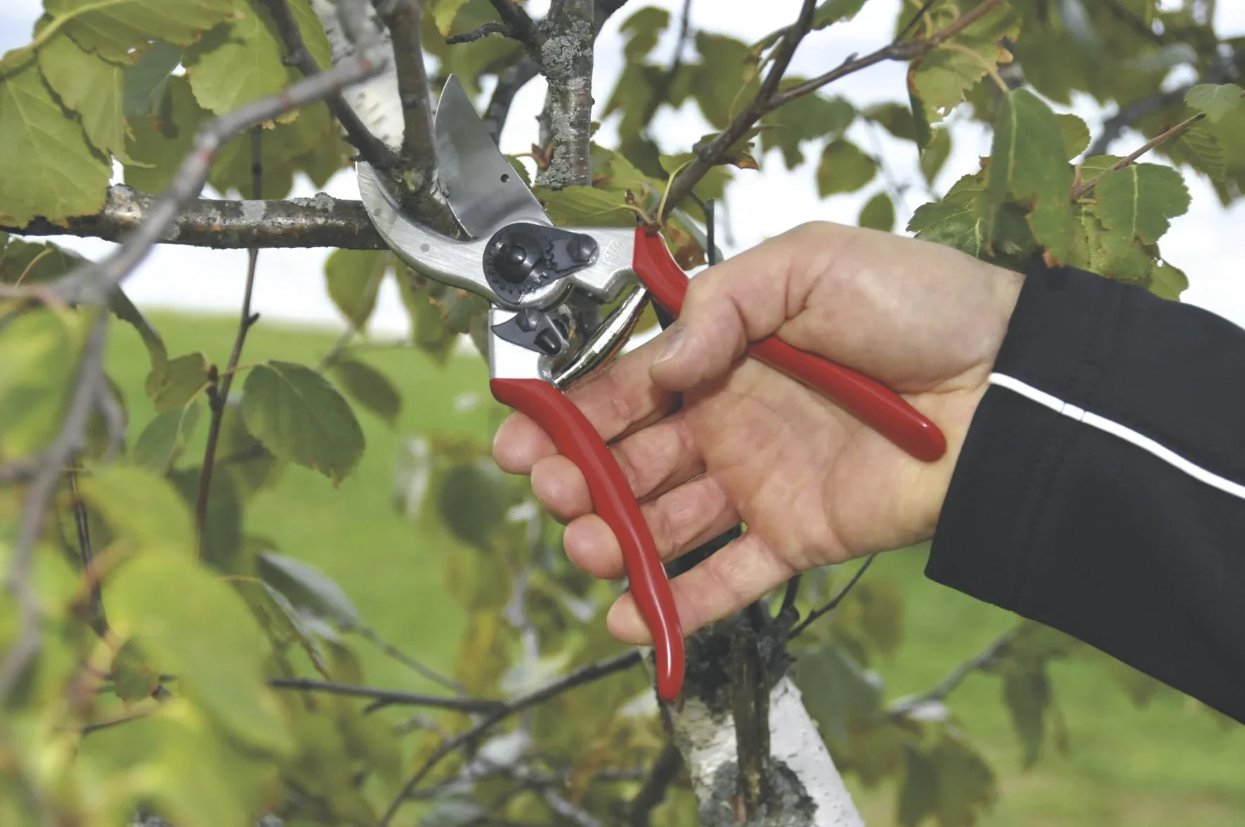 Garten- und Baumschere Nr. 2 - 0