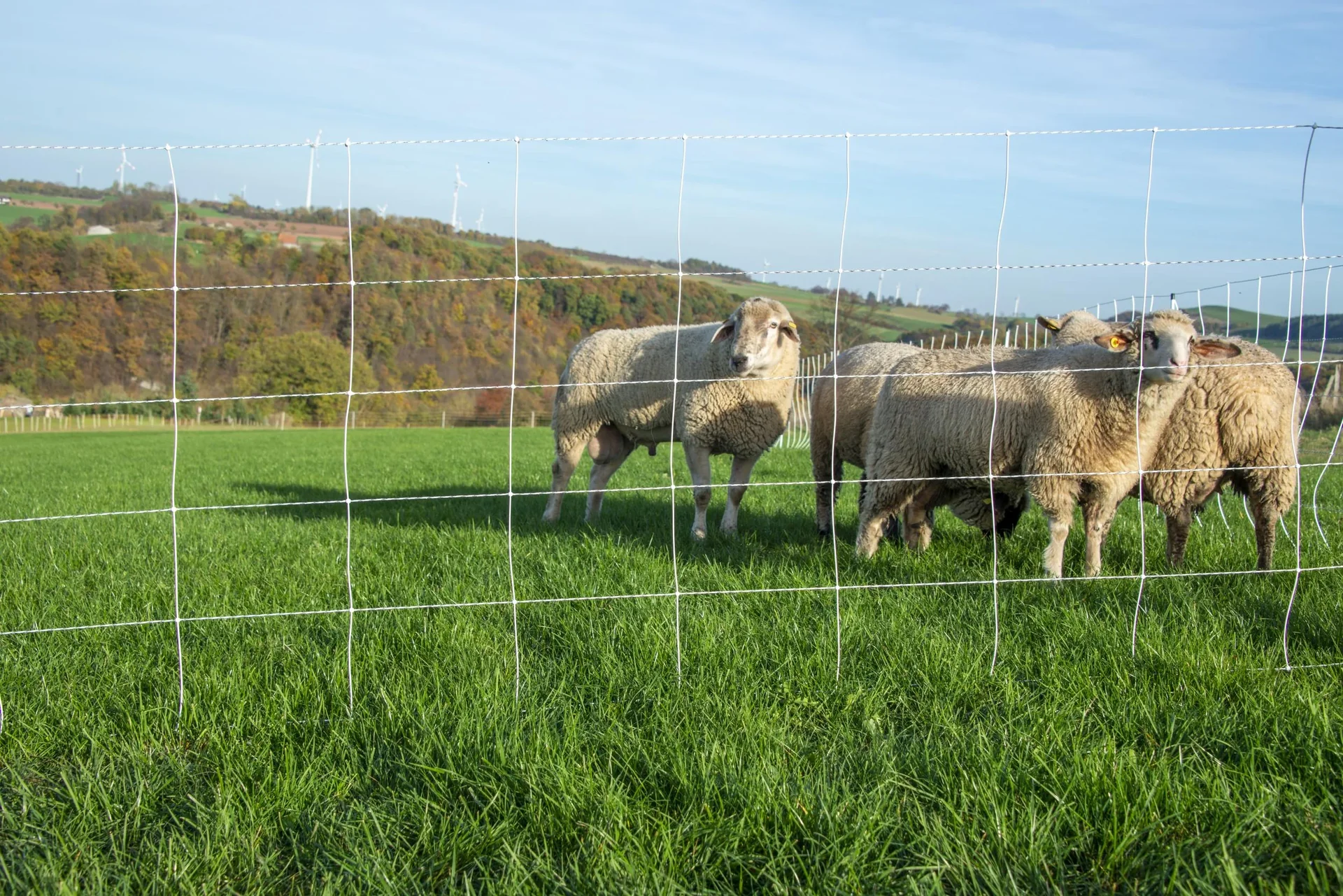 Schafnetz turbomax high energy, 105cm x 50m - 2