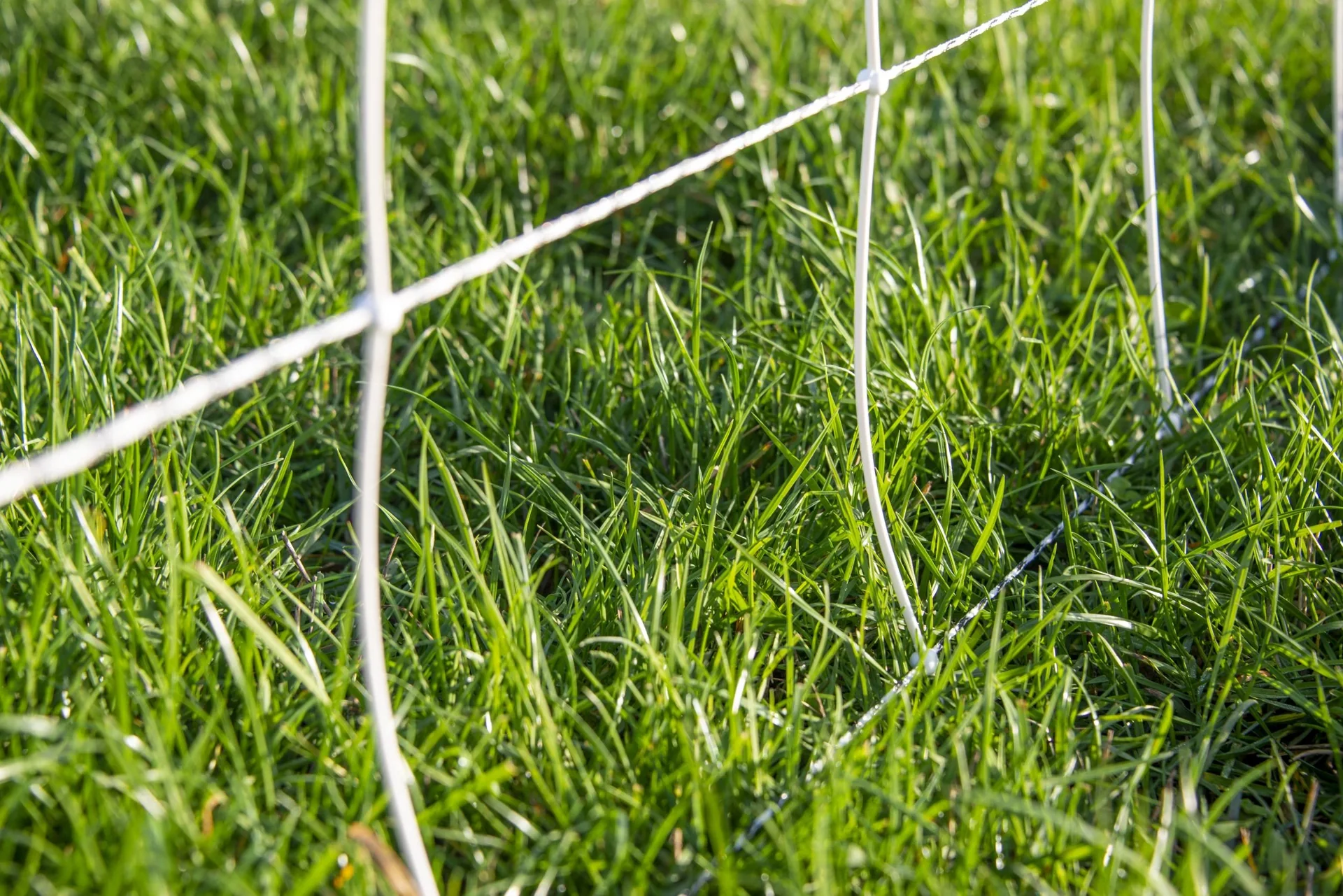 Schafnetz turbomax high energy, 105cm x 50m - 4