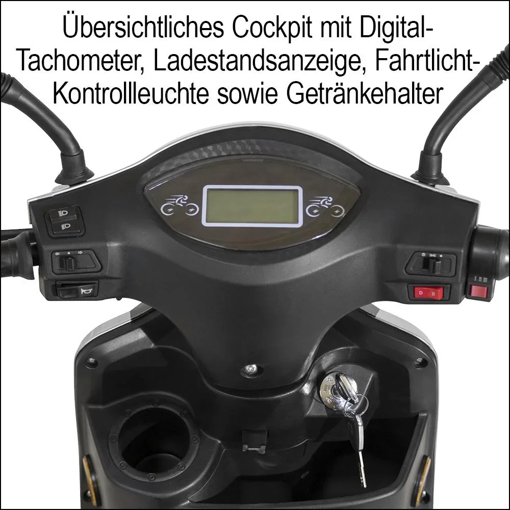 3-Rad E-Mobil Bologna 25 km/h silber - 8