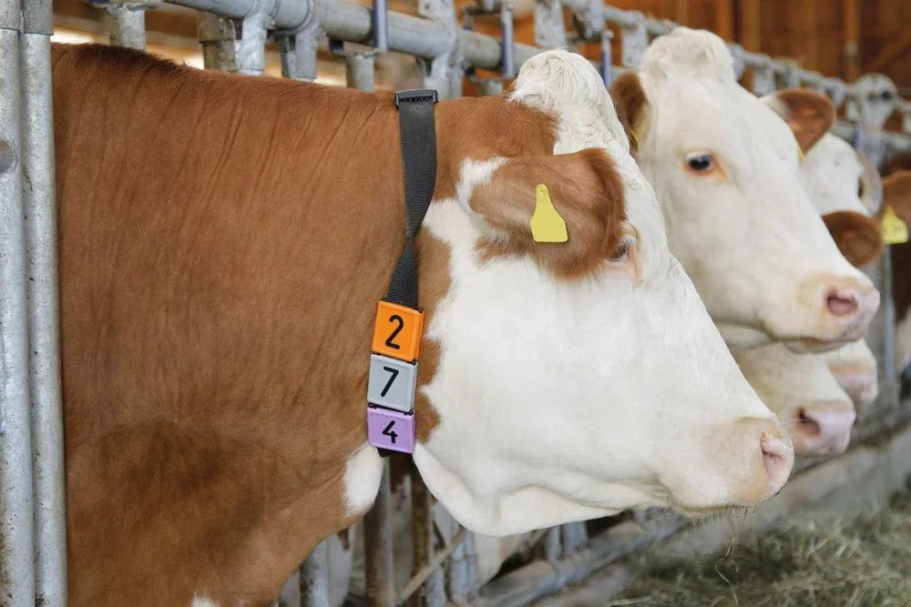 Nummernblock Duo, Nr. 2 - 4