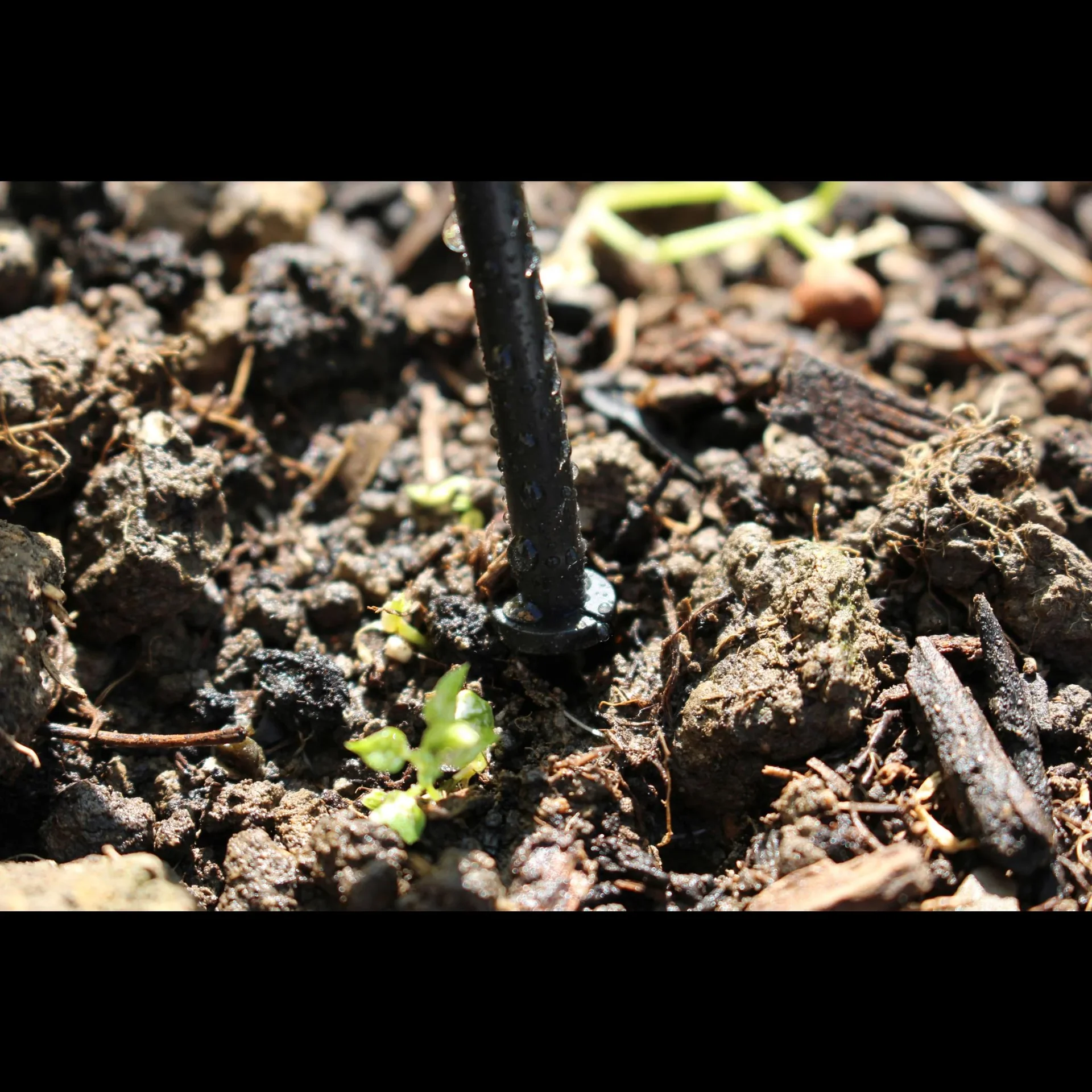 Regentonnenset 36 Tropfer (RWK36) - 0