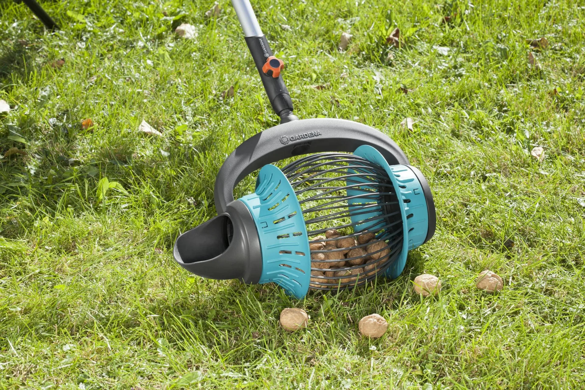 Combisystem-Rollsammler für Äpfel- und Obst, mit Schaufelfunktion - 1