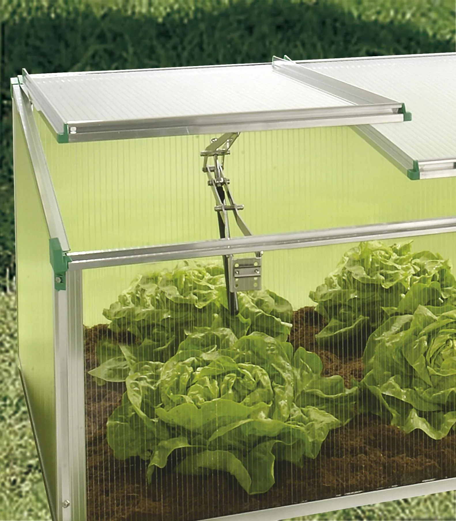 Frühbeet "Biostar 1500", Premium - 1