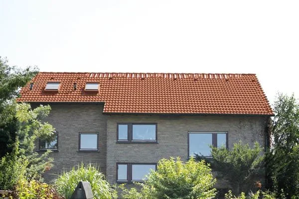 Dach-Reinigungsband 5 Meter und Nahtroller - 6