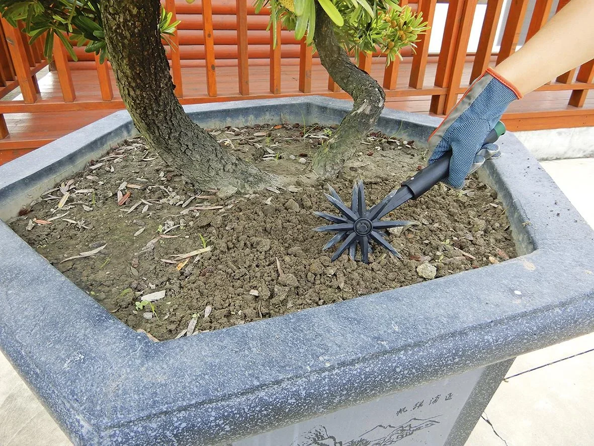 Gartenfräse 2 in 1 - 3