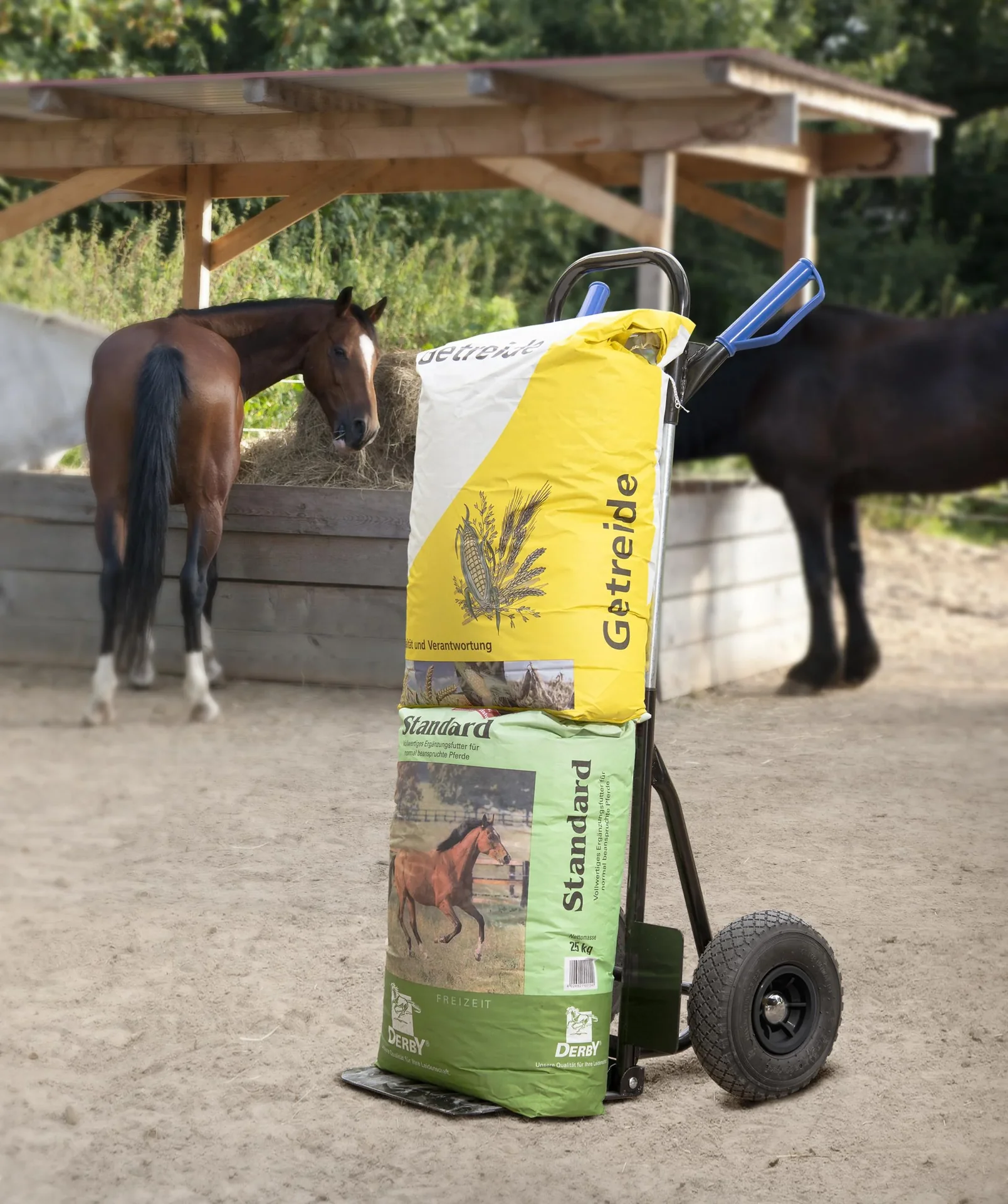 Sackkarre kompakt, klappbar, 200 kg Tragkraft - 2